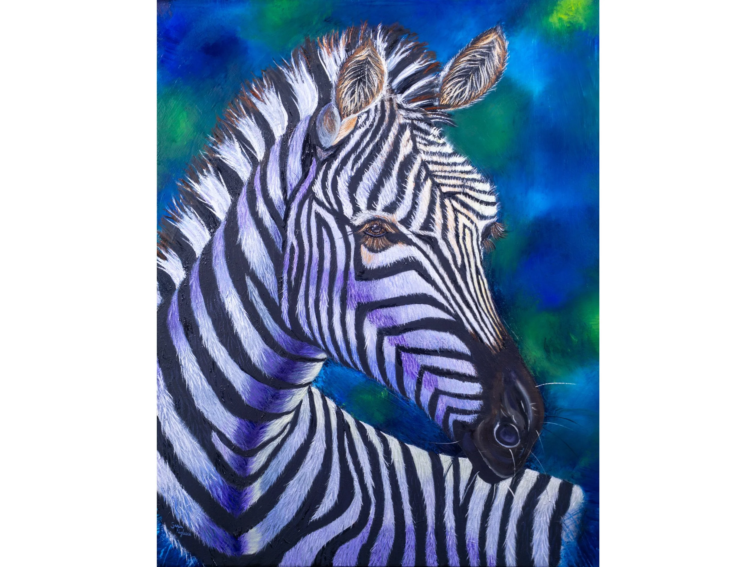 Zebra