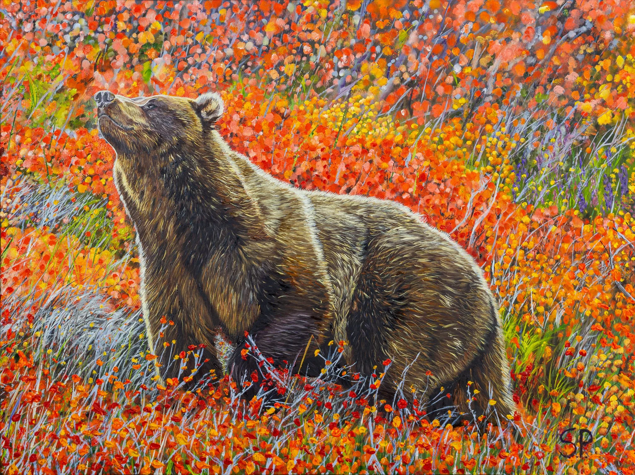 grizzly small export.jpg