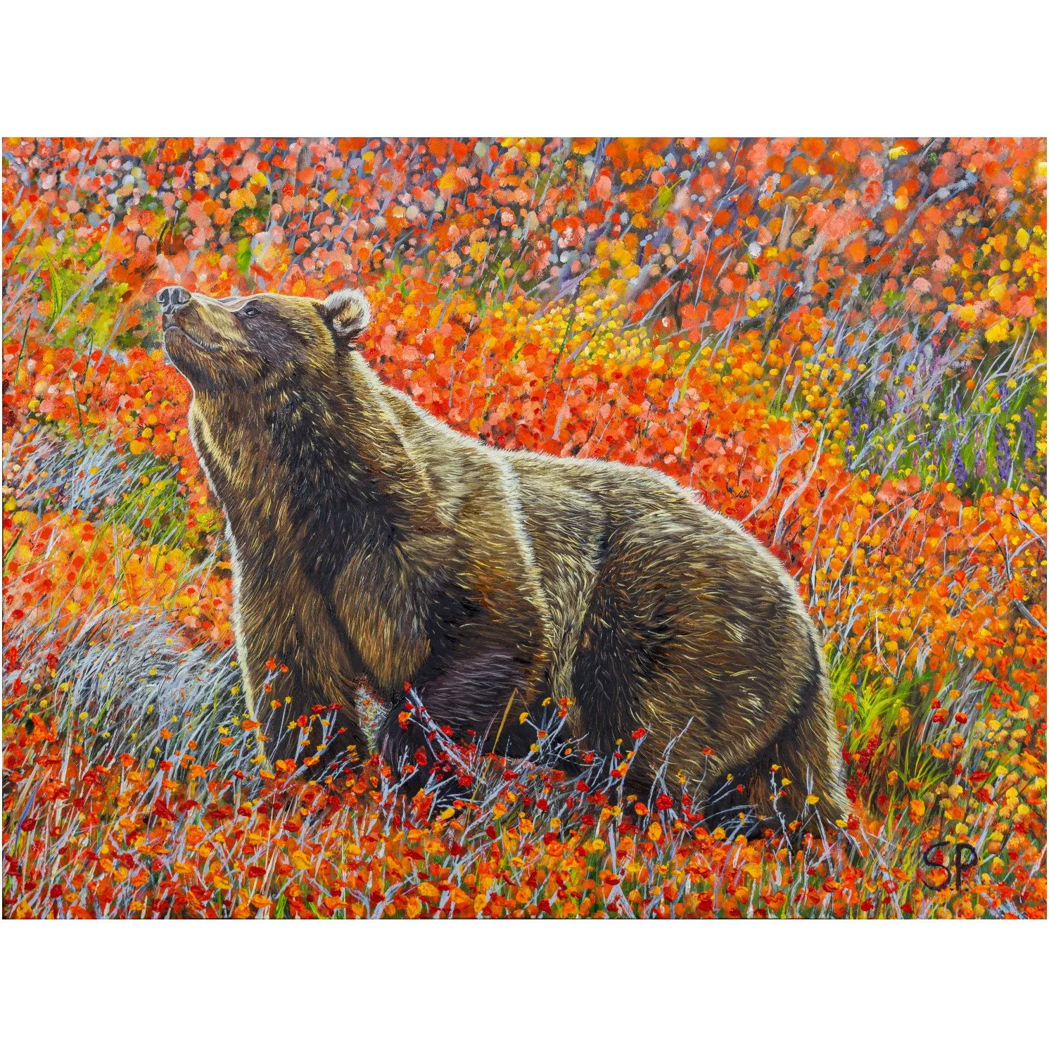 Grizzly | Original