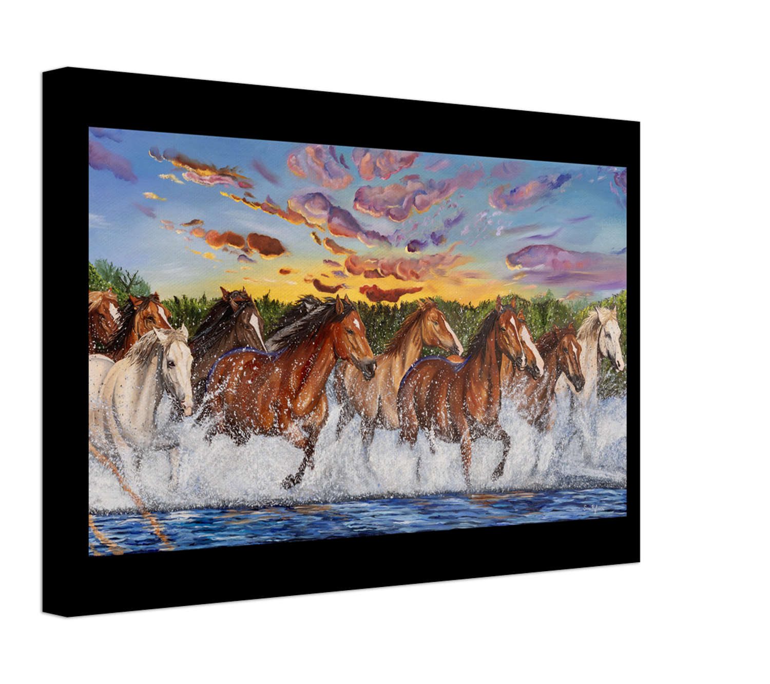 salt river canvas print.png