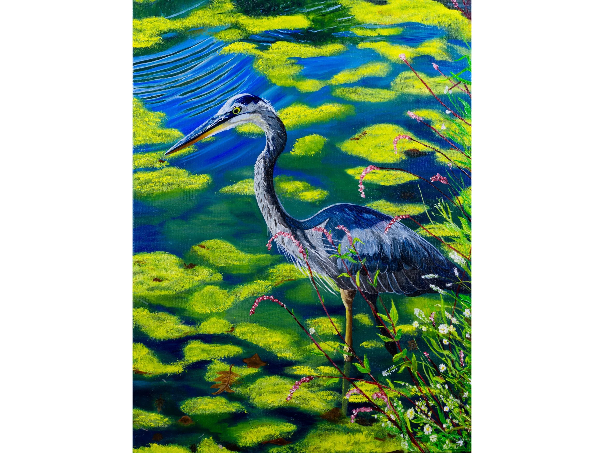 Heron-picsay.jpg