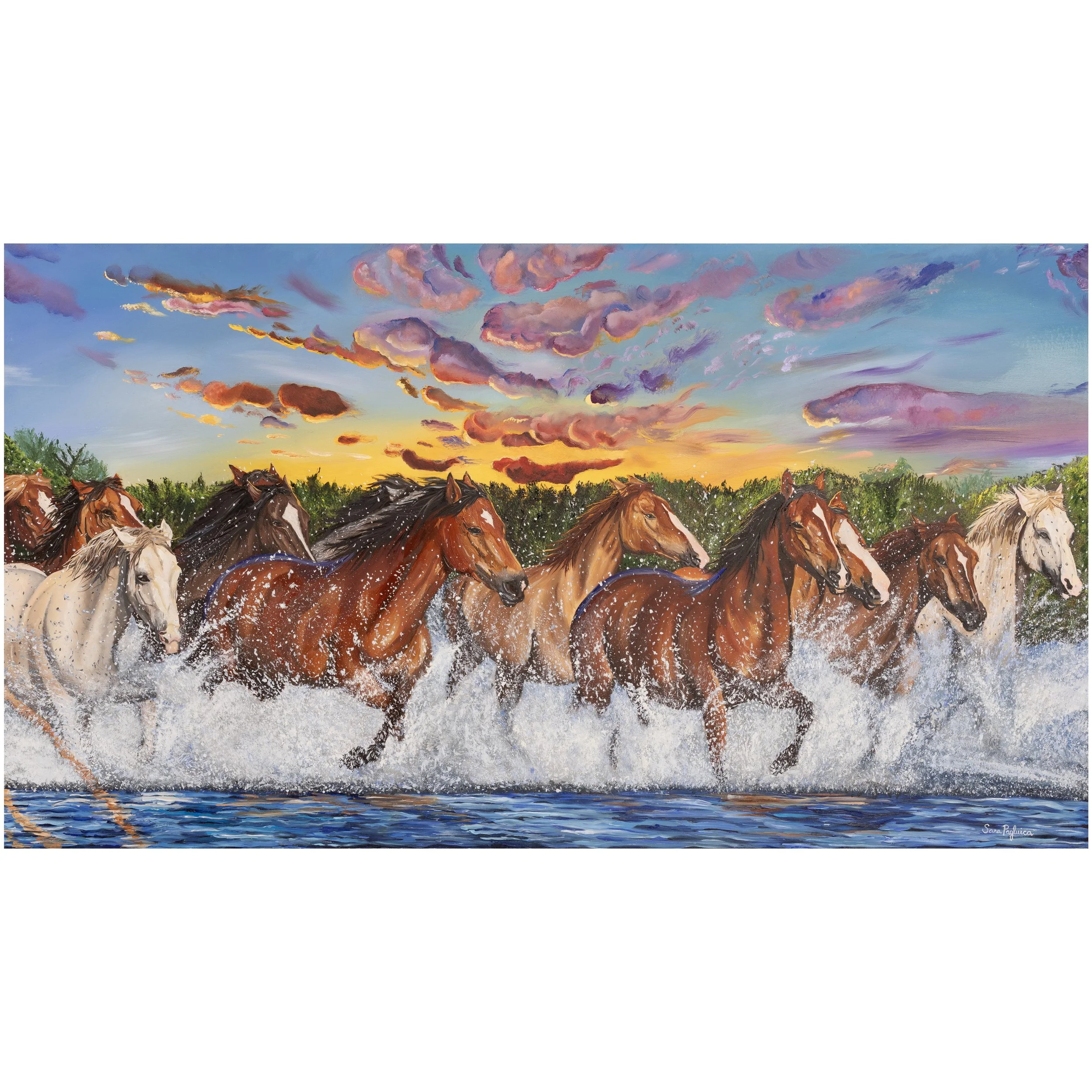 Salt River Horses