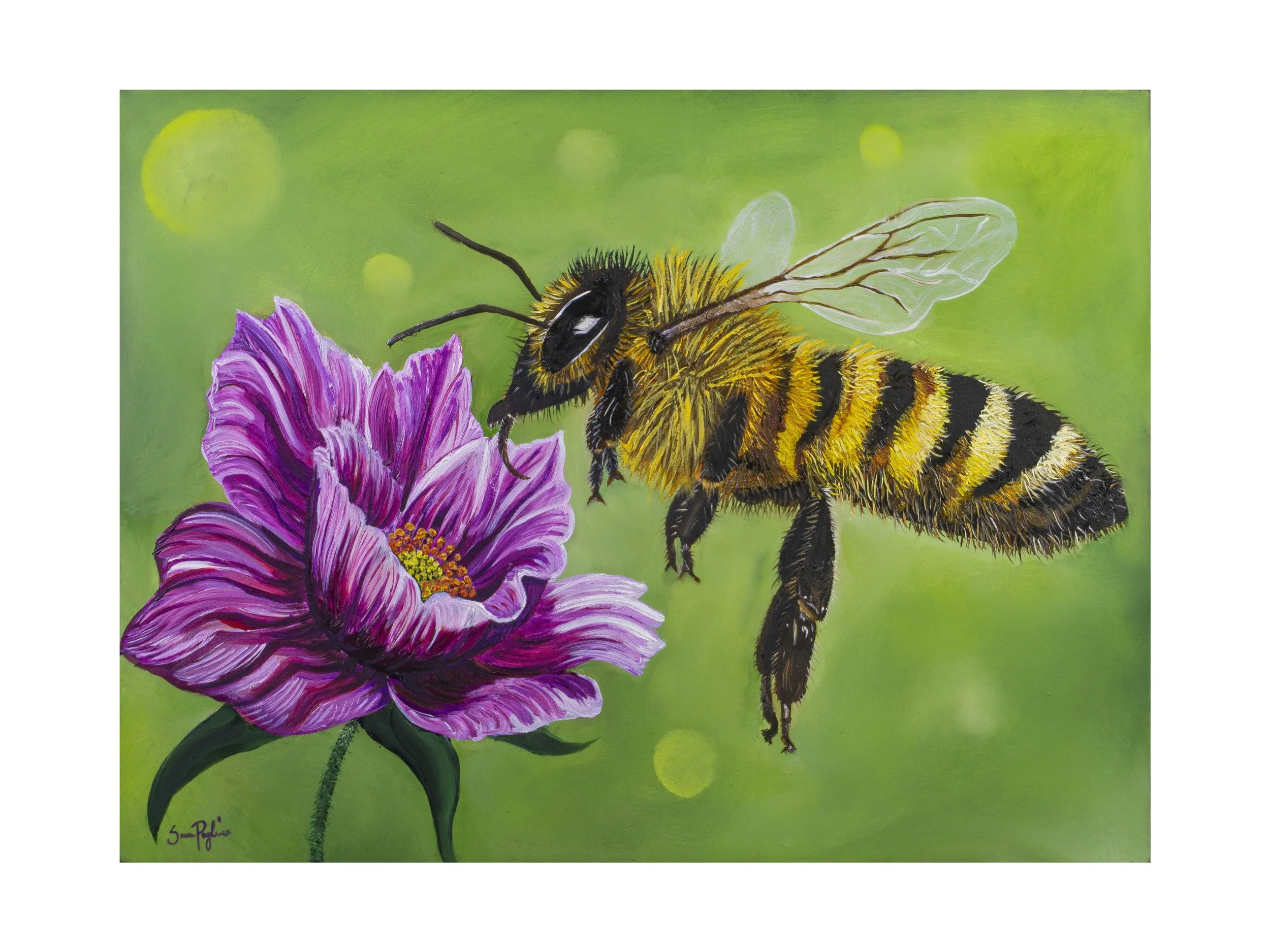Pollinator product thumbnail.jpg