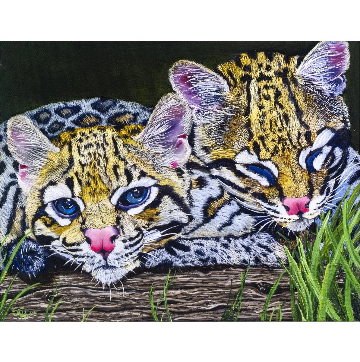 Lazing Leopards | Original