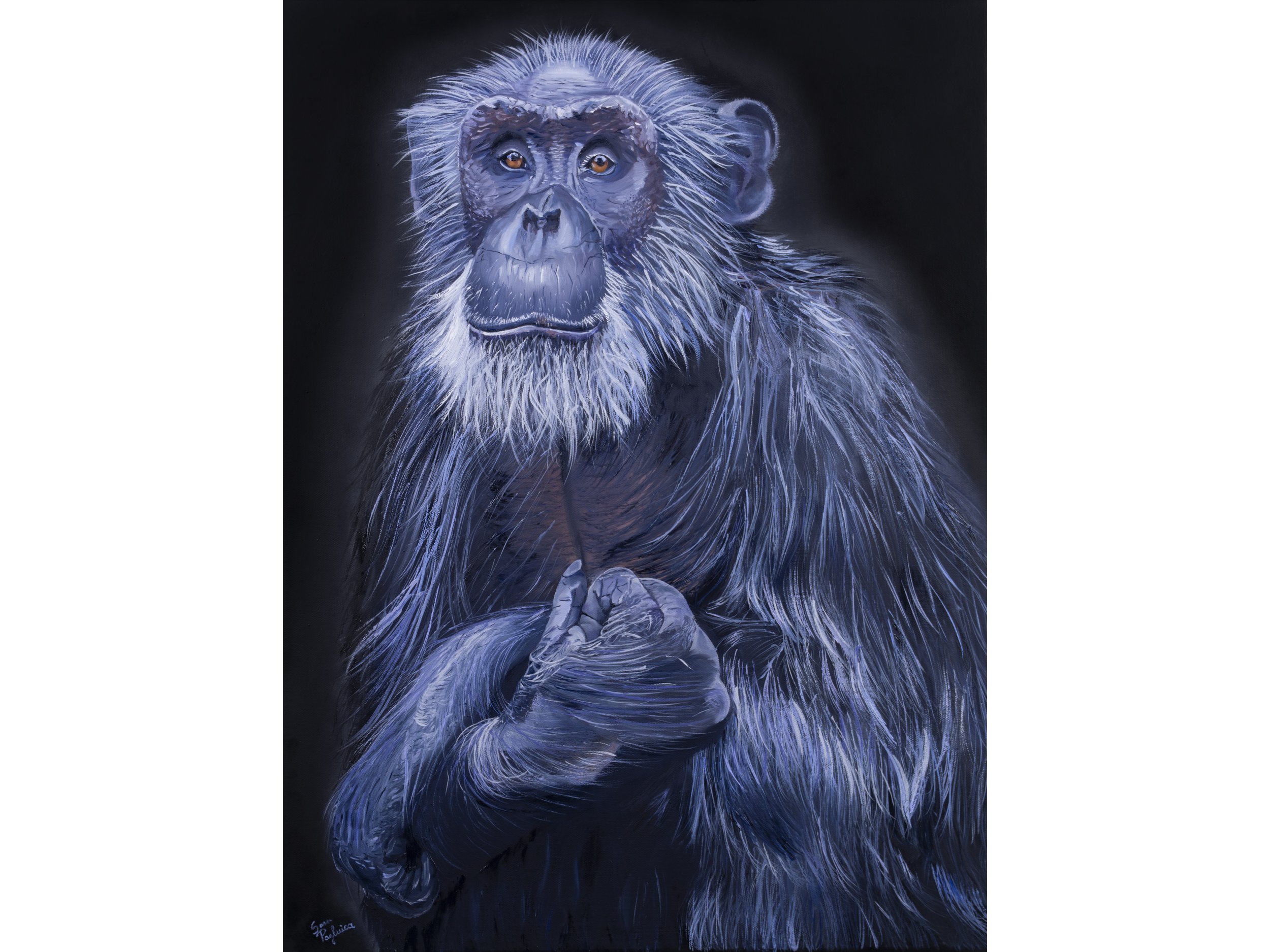 Product Photo - pensive primate.jpg
