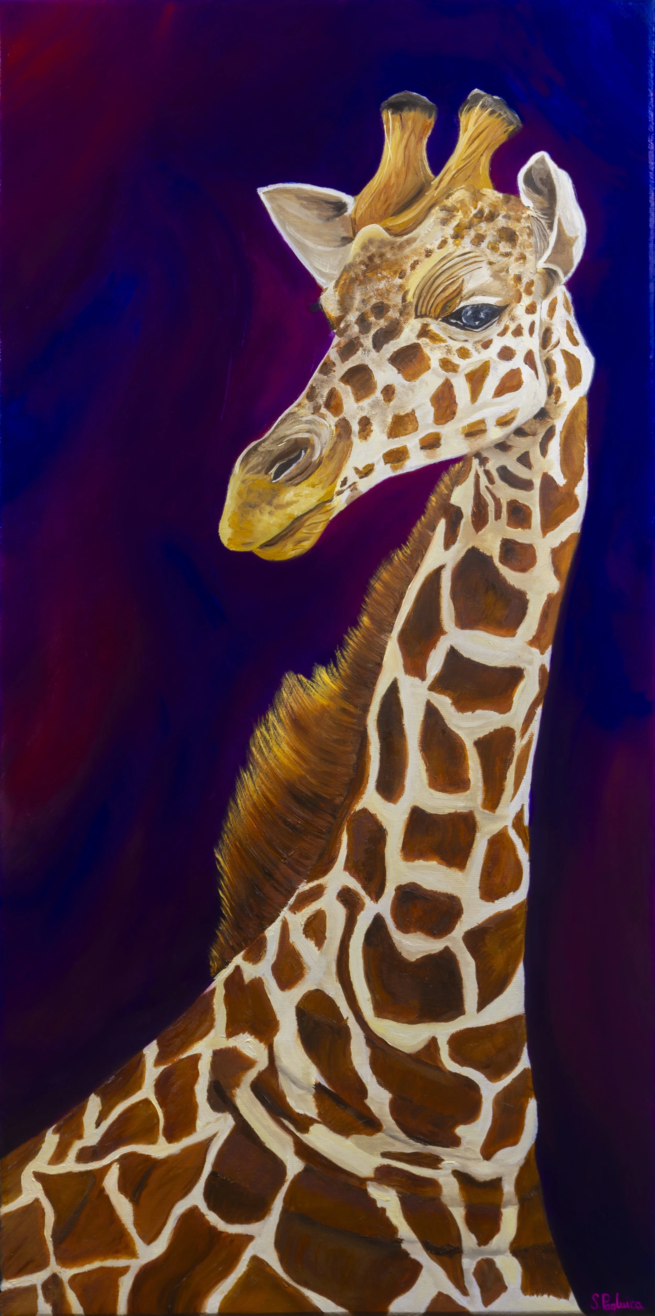 Regal Reticulated Giraffe.jpg