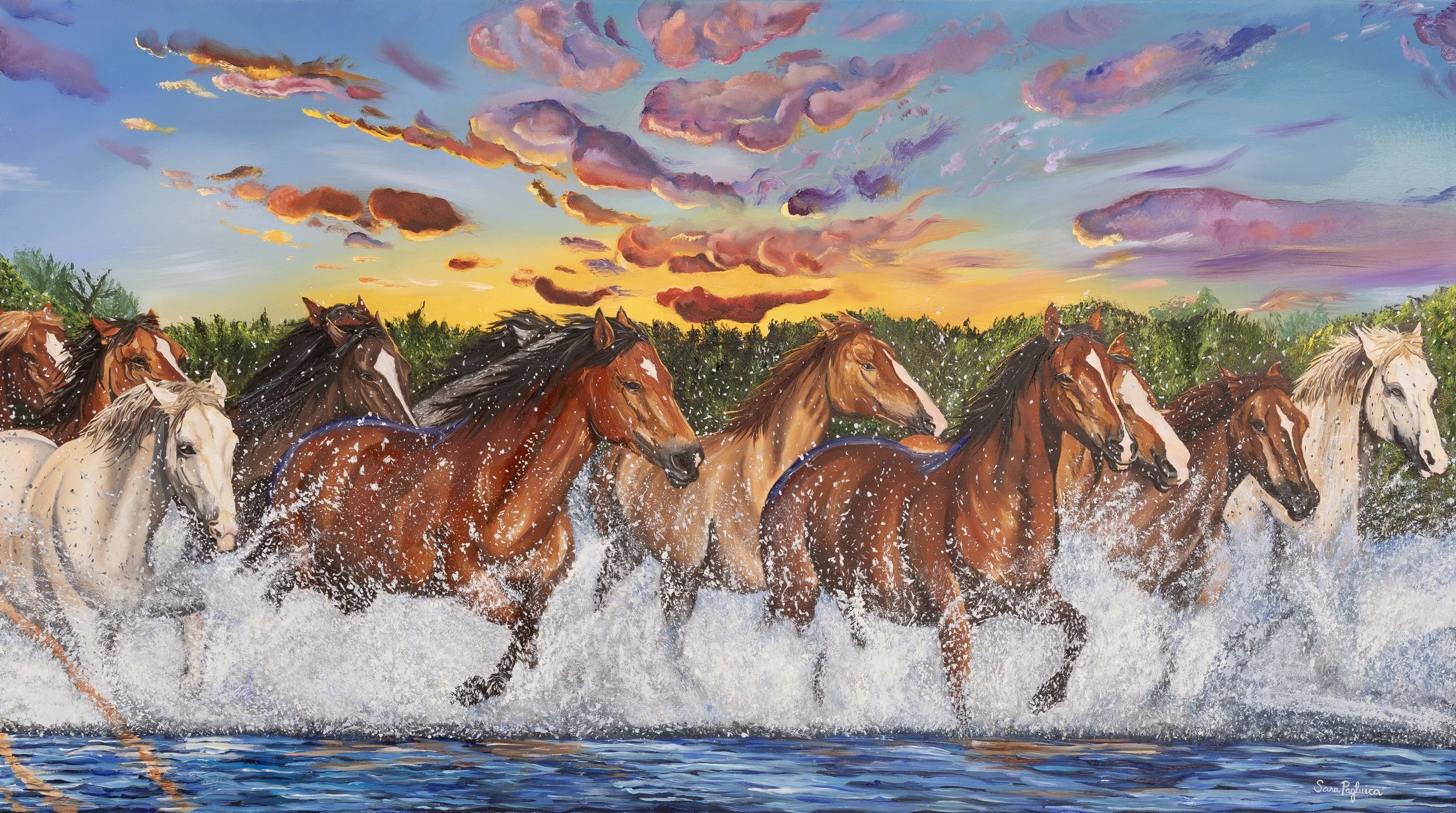 Salt River Horses.jpg