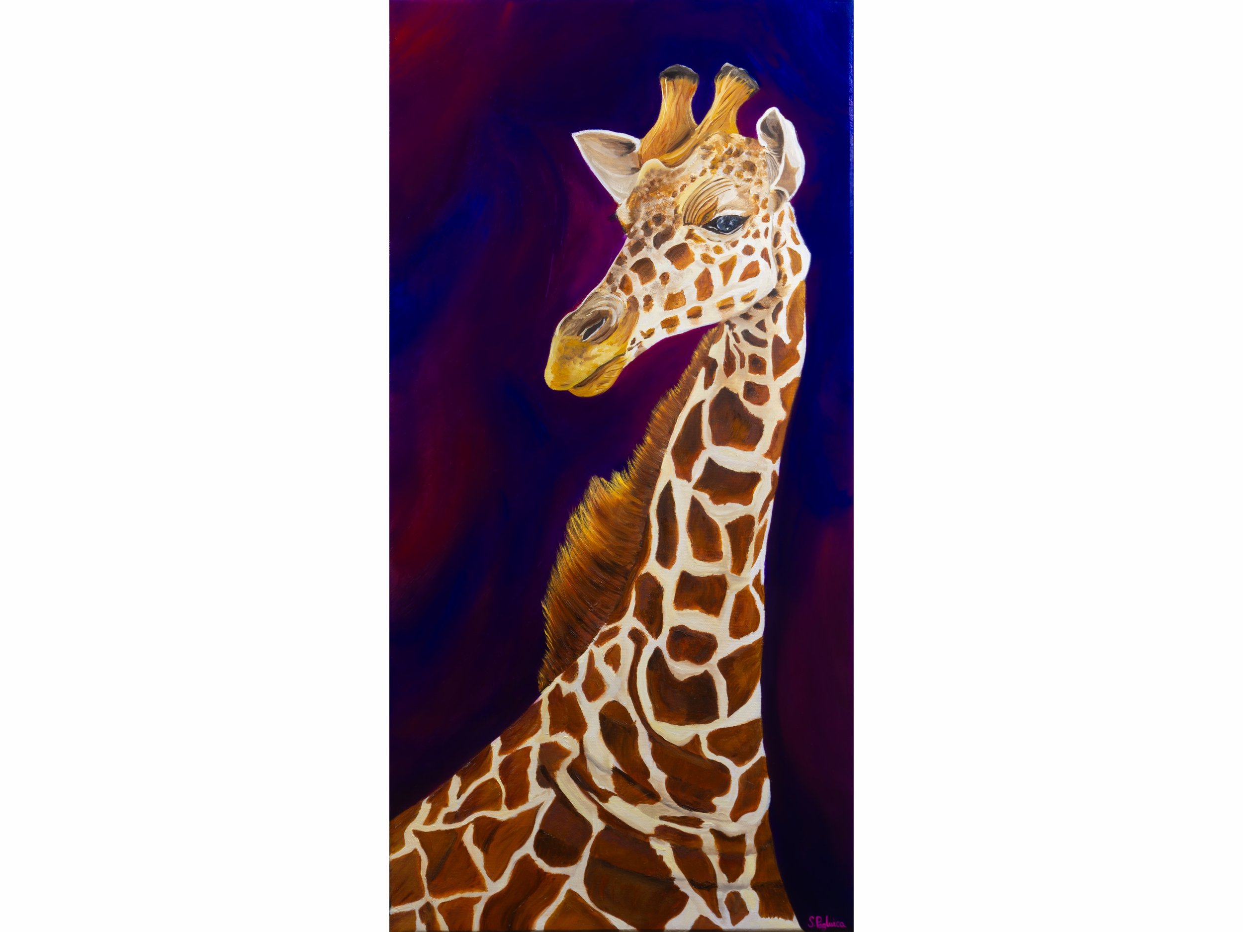 giraffe landscape version.jpg