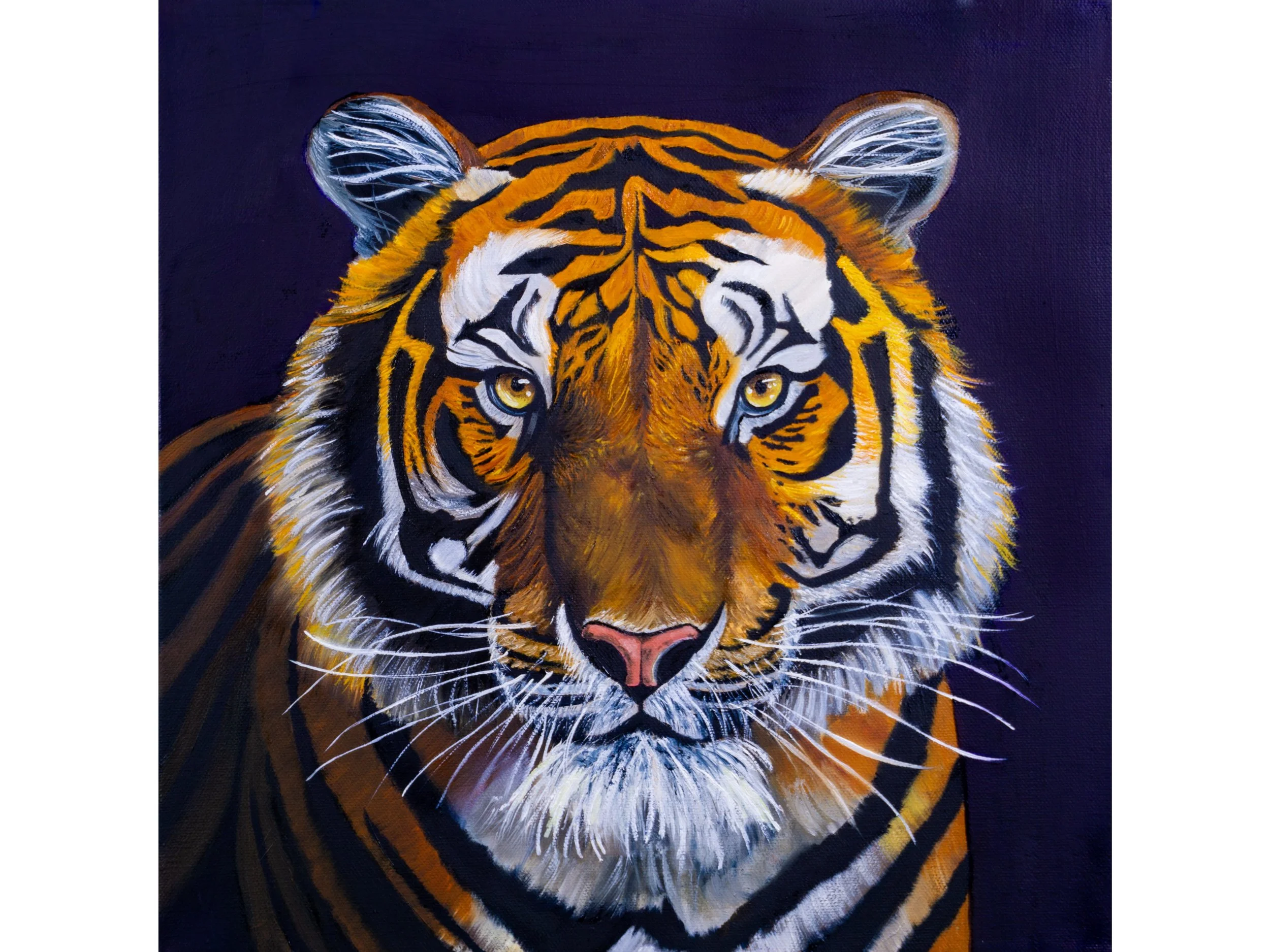 Tiger-picsay.jpg