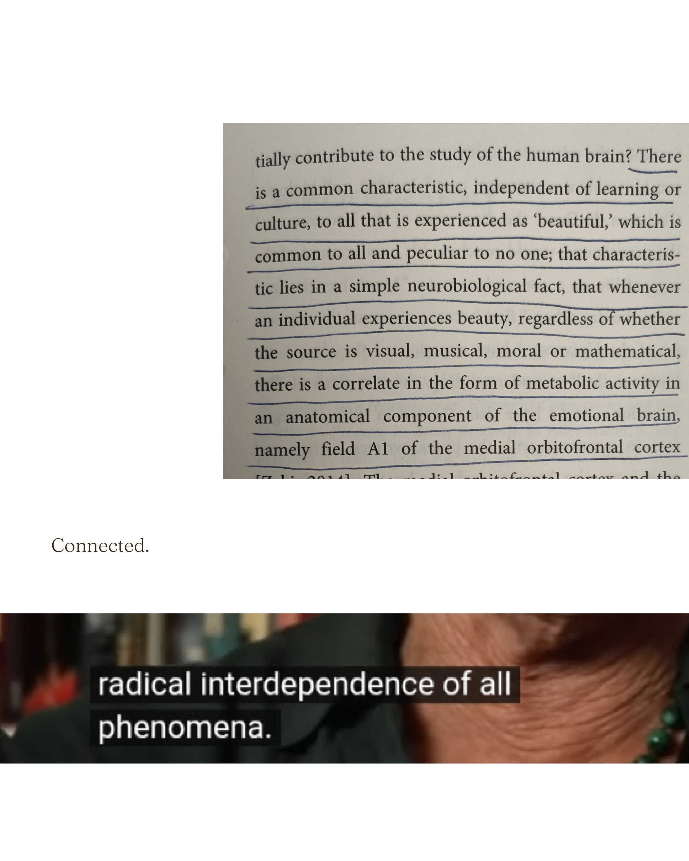 Fragments 4 v2.png