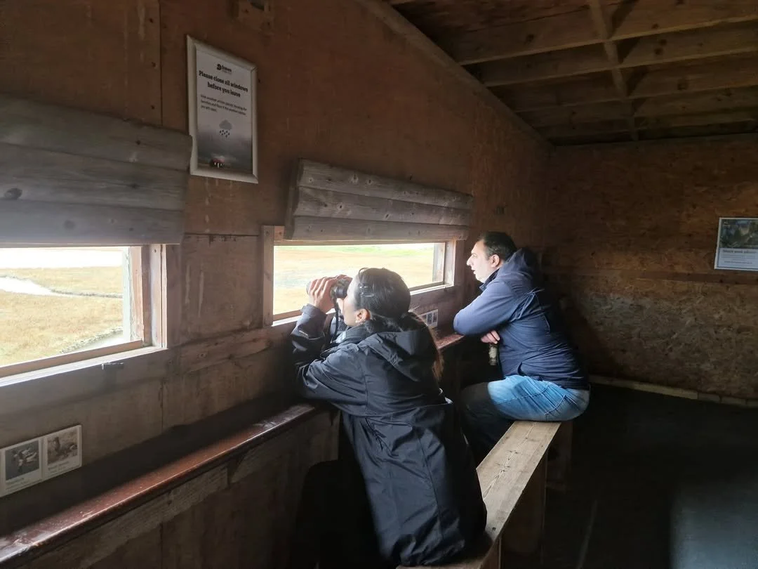Bird watching from a hide
