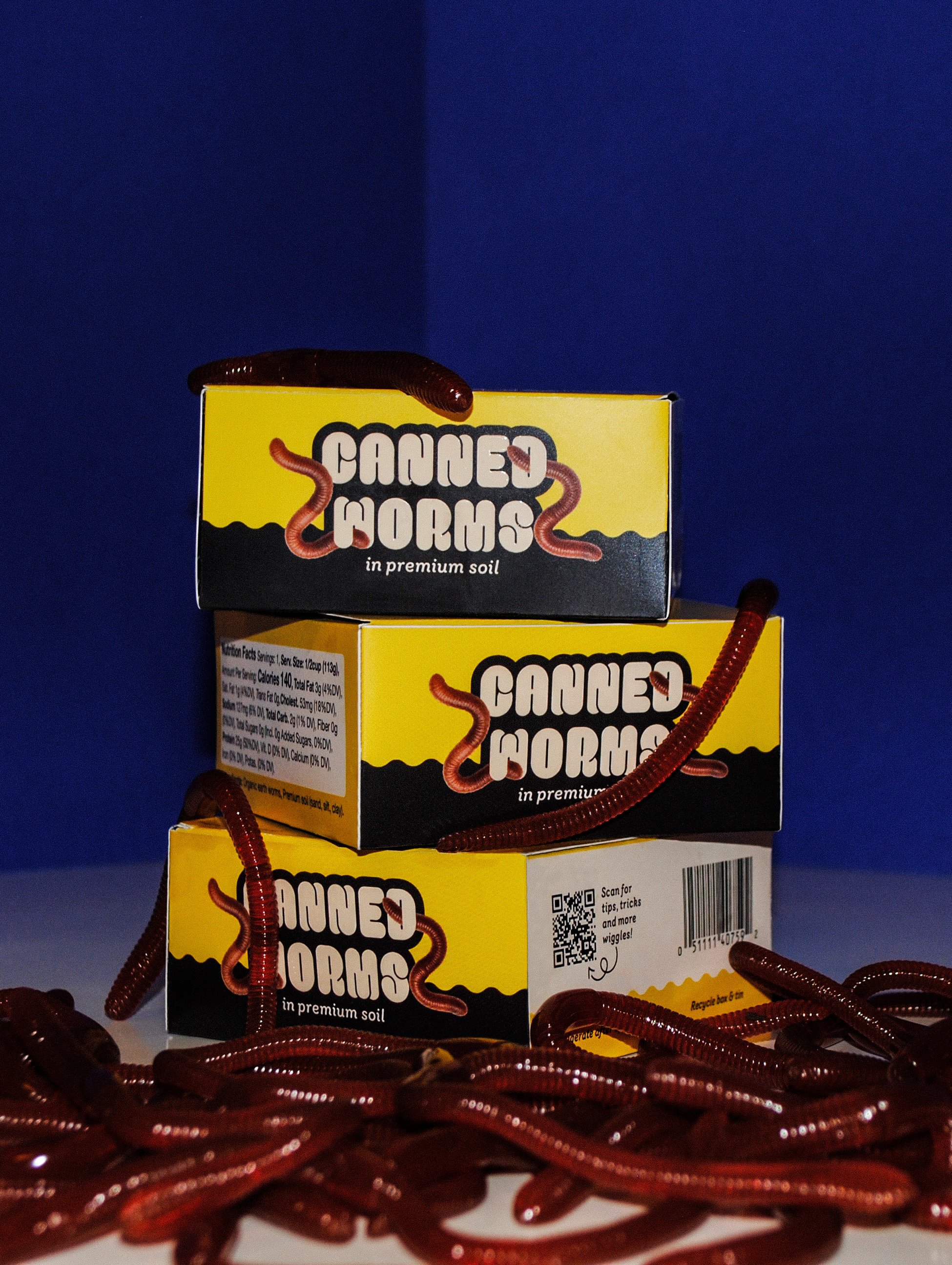 WormPhoto8.jpg