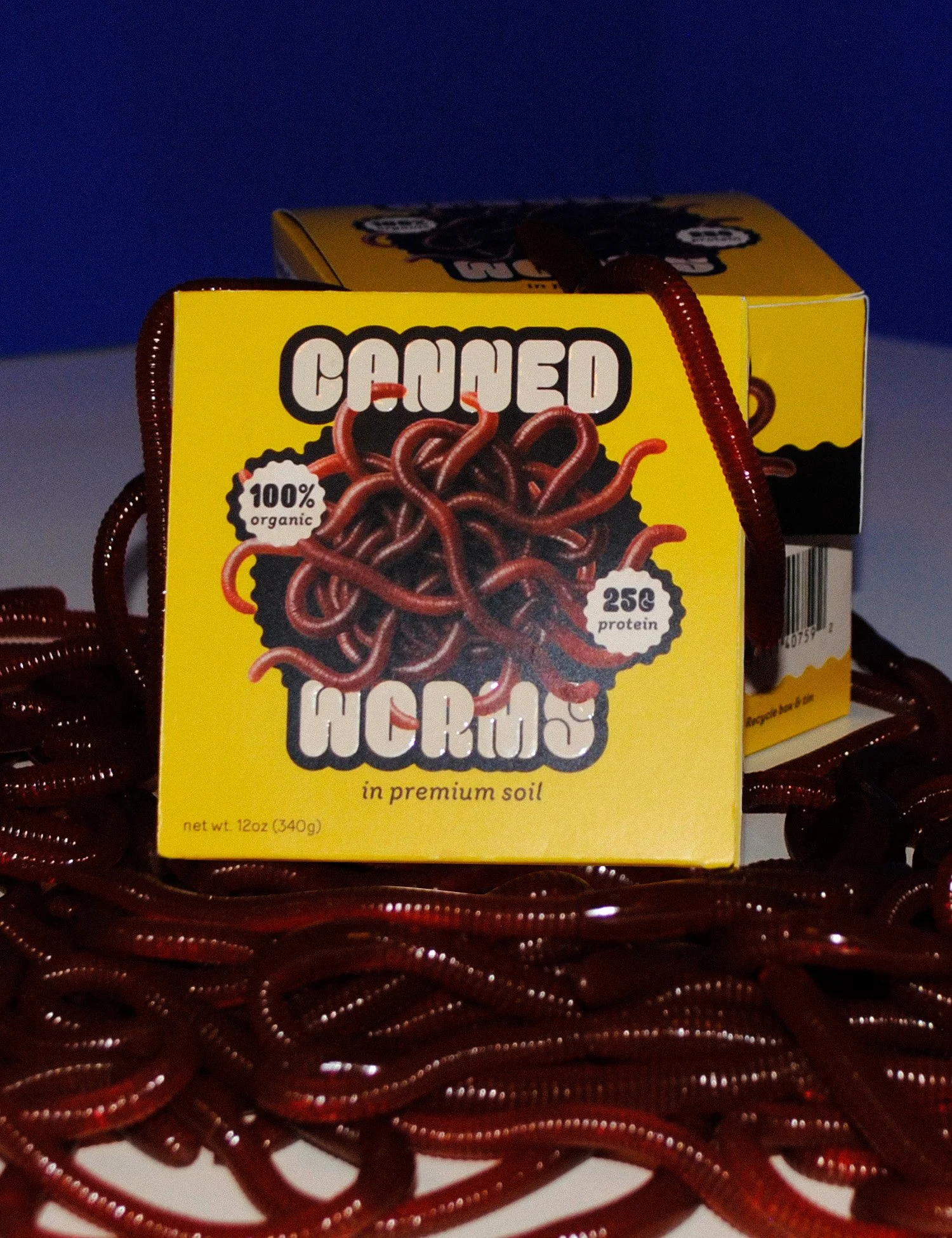 WormPhoto2.jpg