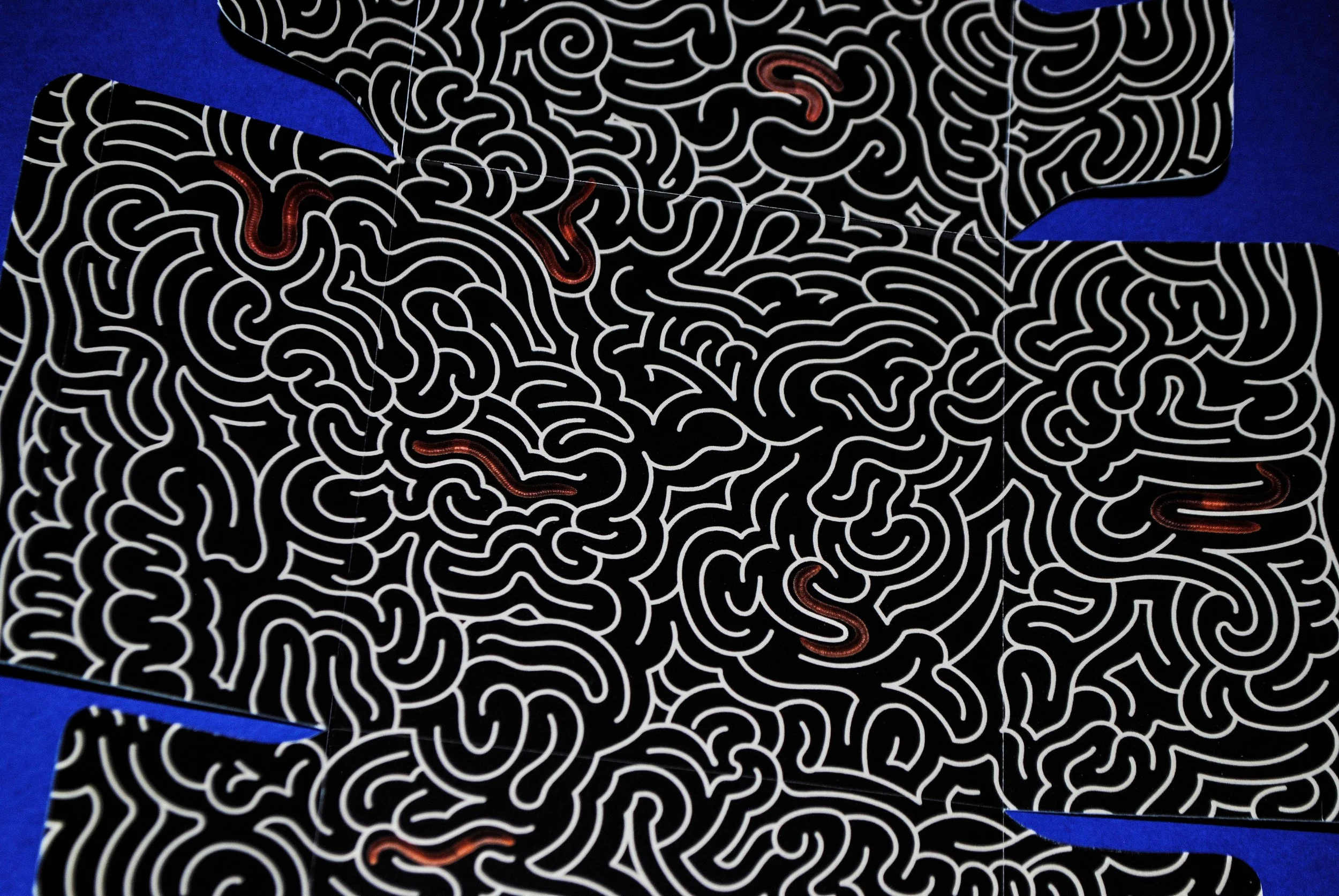 WormPhoto10.jpg