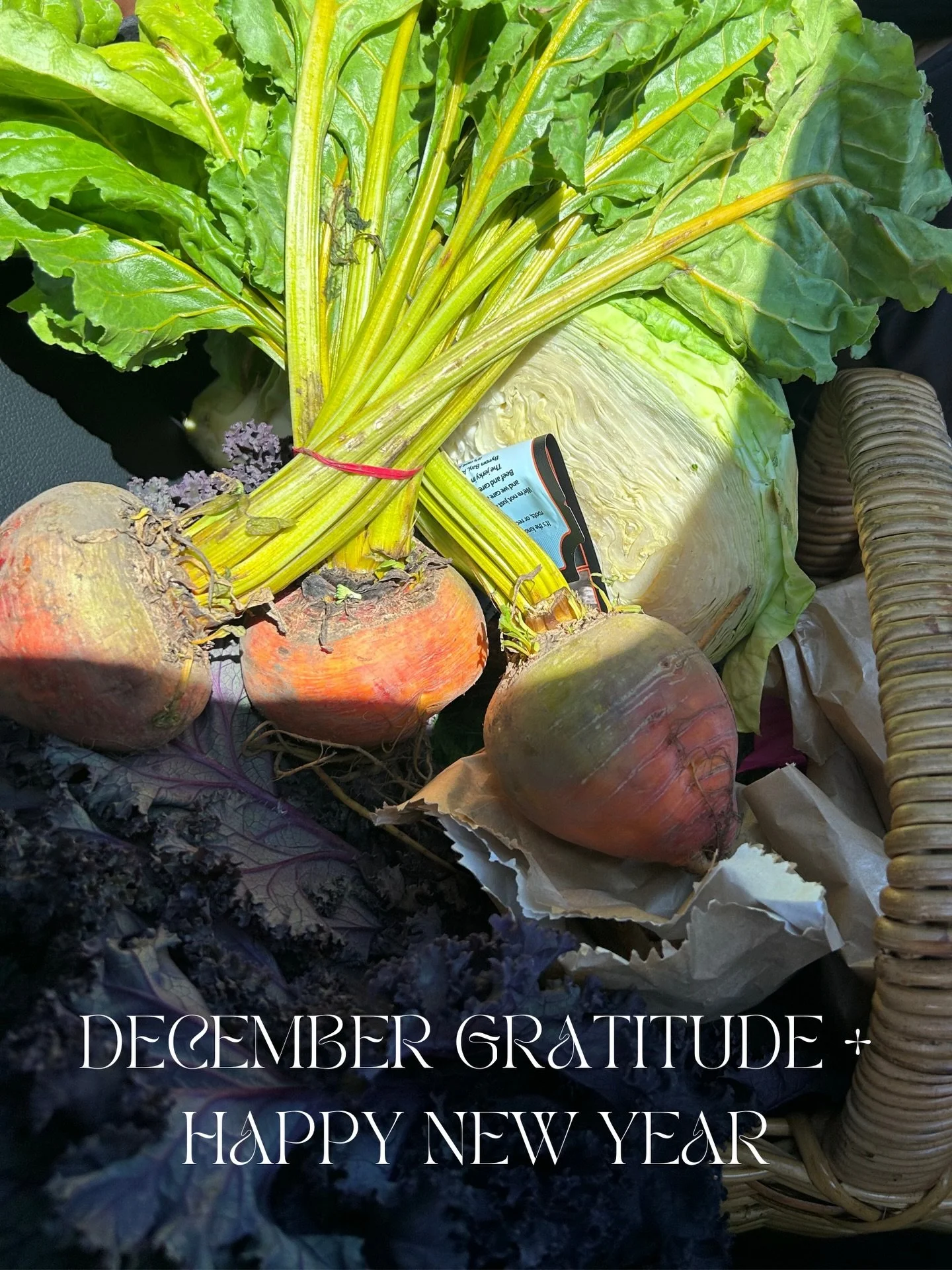 Closing out December with a very full heart. Thank you for every session, every story shared, every DM, and every quiet moment of trust you&rsquo;ve placed in this work. You are the reason Idyllic Medicine exists, and it&rsquo;s such a privilege to w