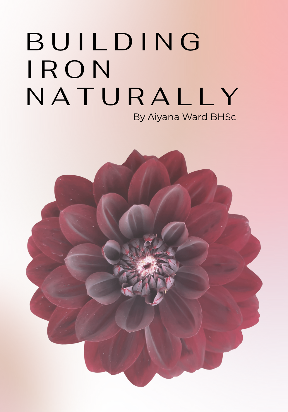 Building iron naturally ebook written by naturopath Aiyana Ward with tips, recipes and resources on different ways to increase iron levels and consumption using natural holistic and safe methods.