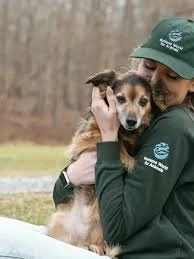 Huamne world sponsor image.jpg