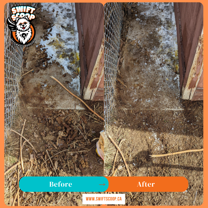 Swift Scoop dog poop removal - before-and-after of a garden area cleaned of waste for a clean, usable space.