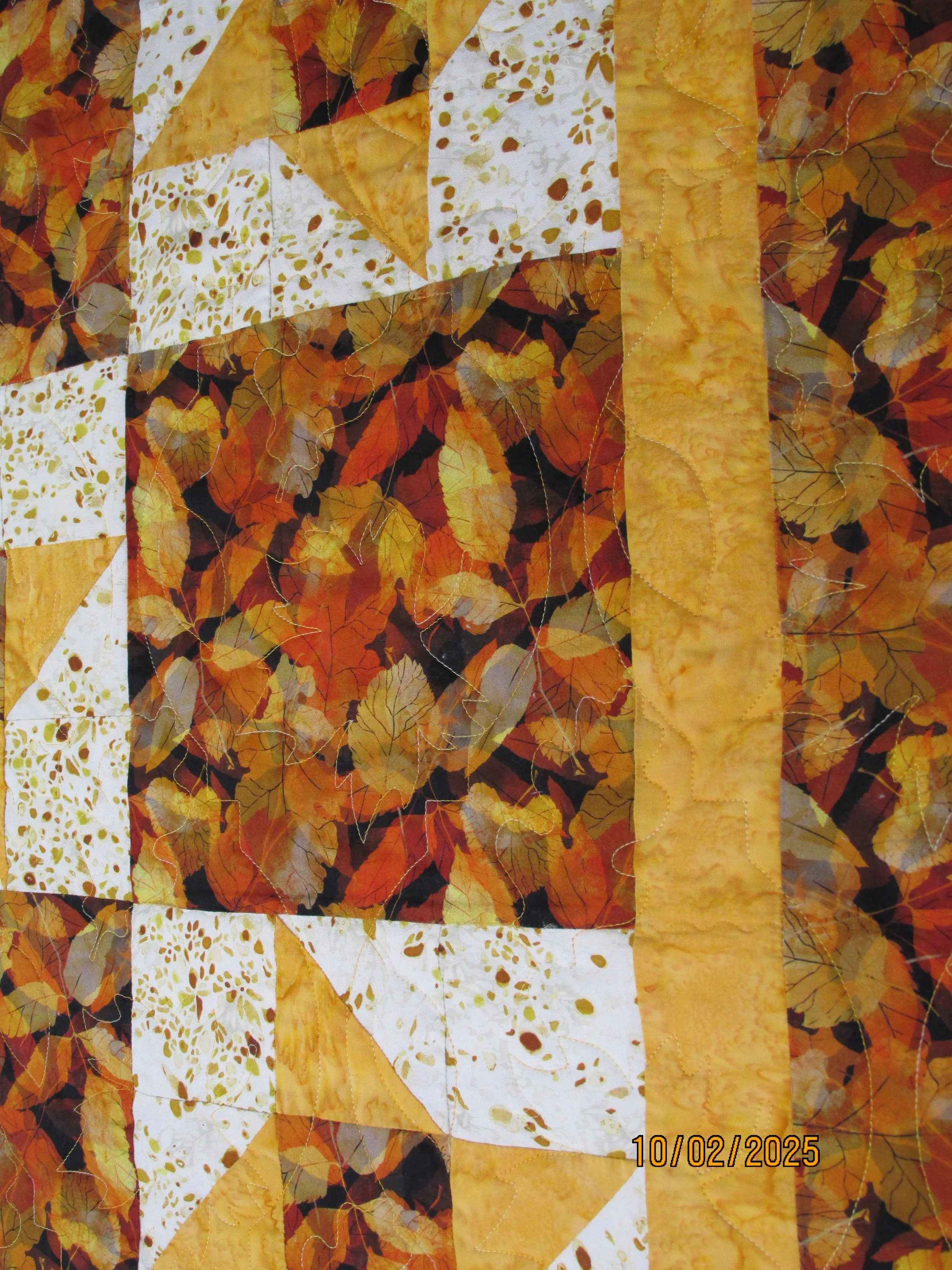 25-10-02 Fall Leaves on Leaves