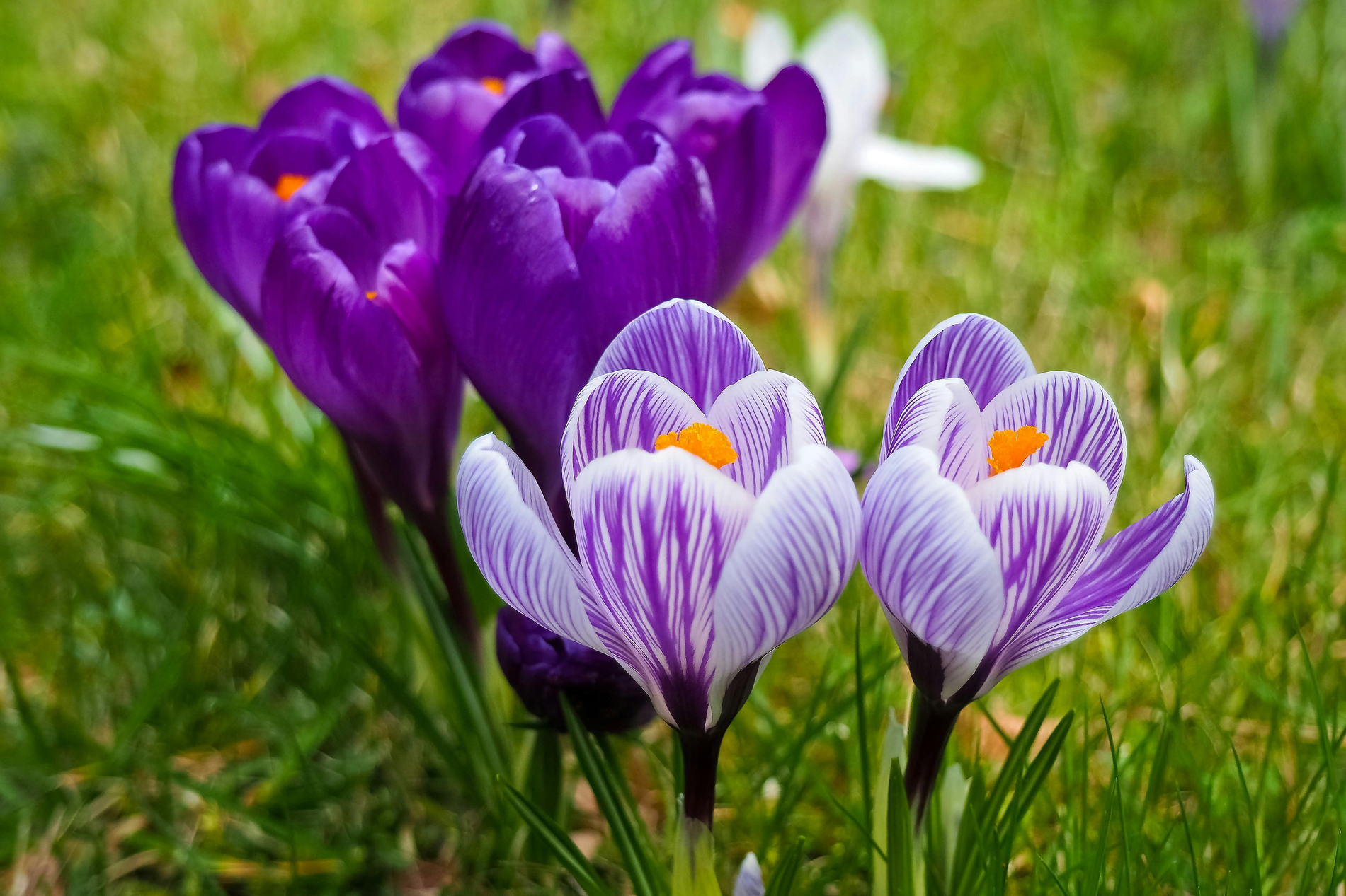 April Words of Inspiration