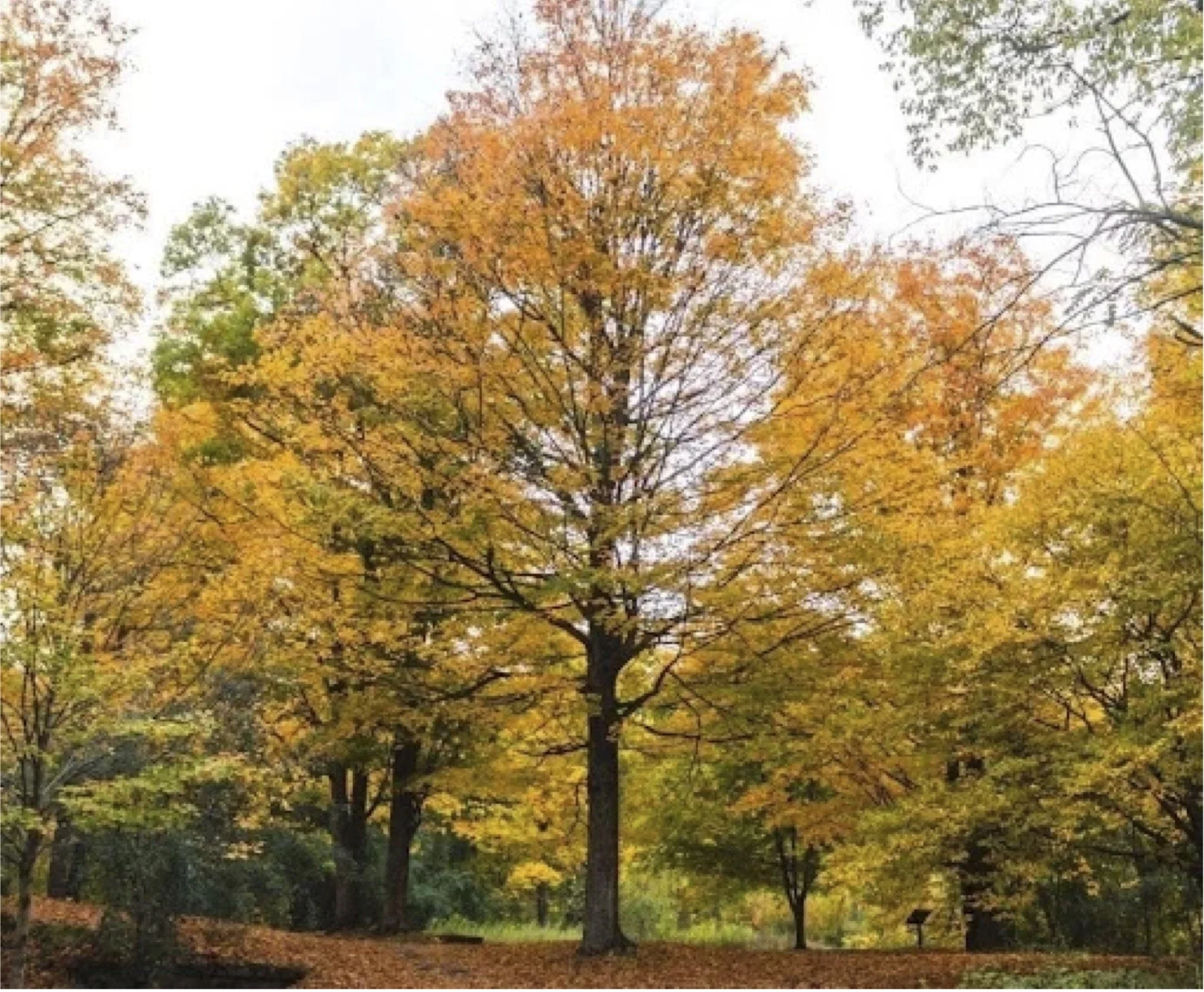 Notes from October