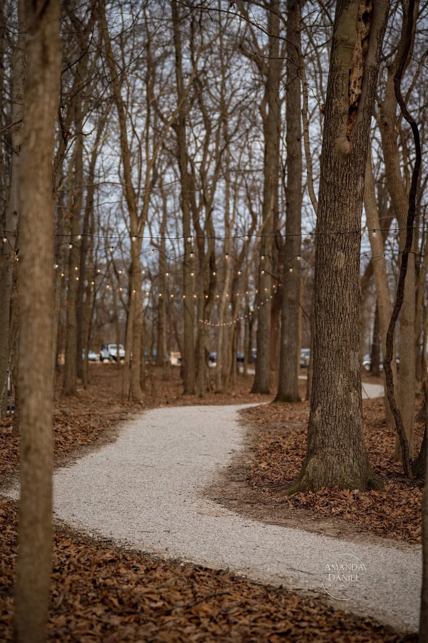 A winding gravel path through a wooded area with leafless trees and string lights hanging overhead. Some cars are visible in the background.