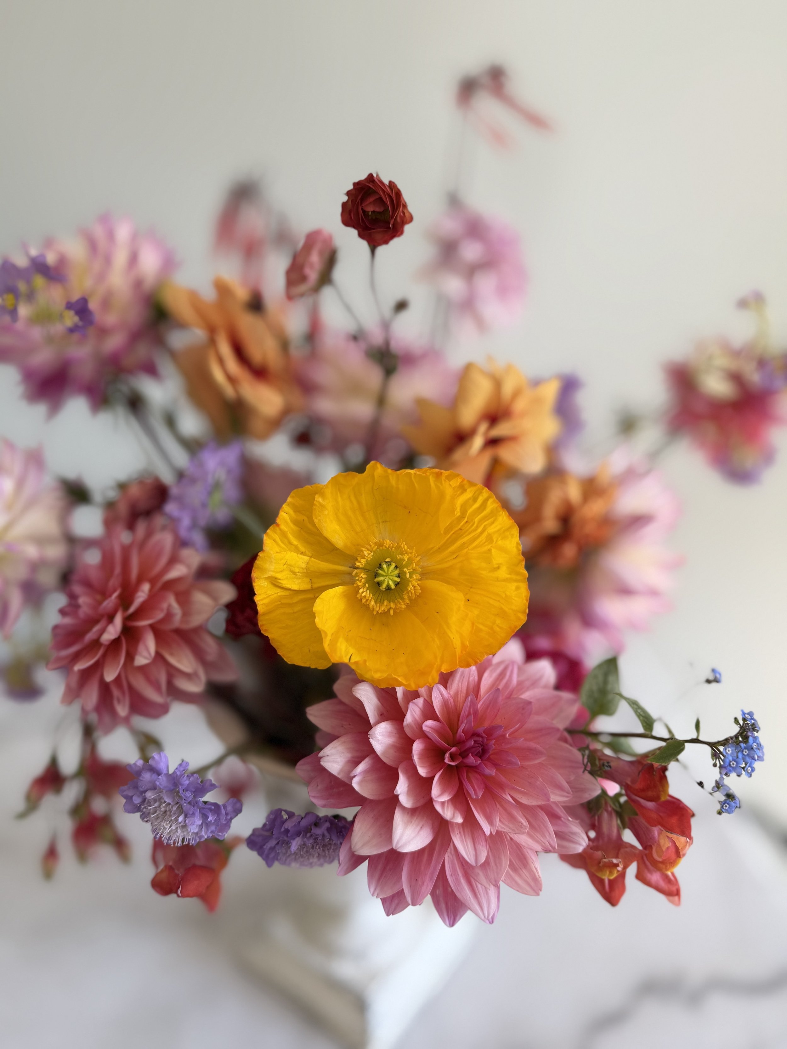 centrepiece dahlia 2.jpg