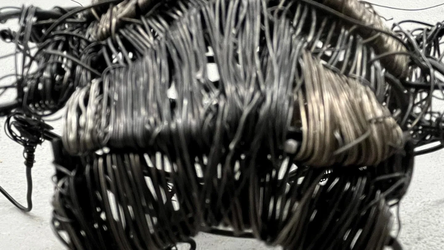 bane of my existence mf wire spatial bug