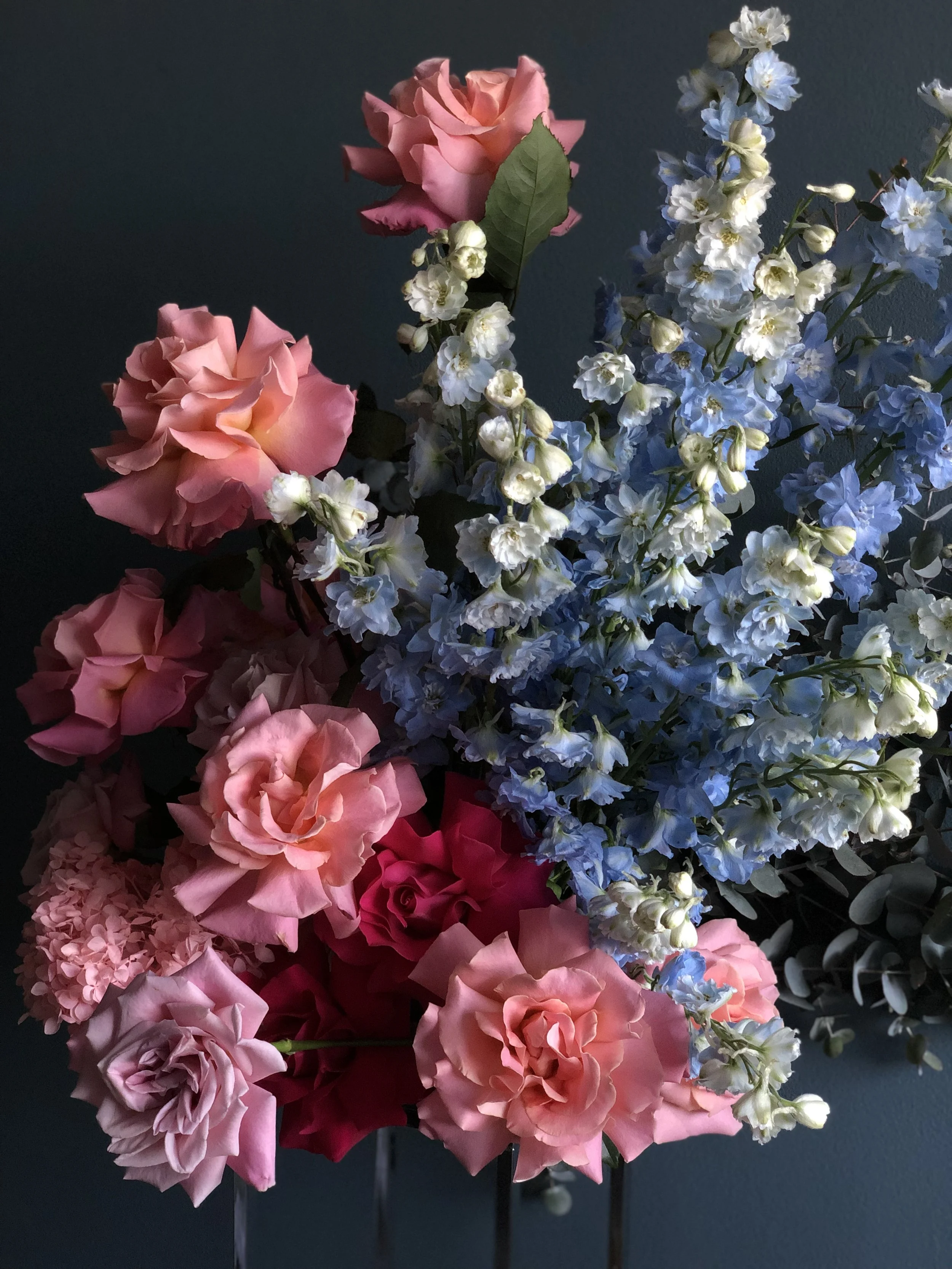 Bouquet of pink roses and blue delphiniums against a dark background.