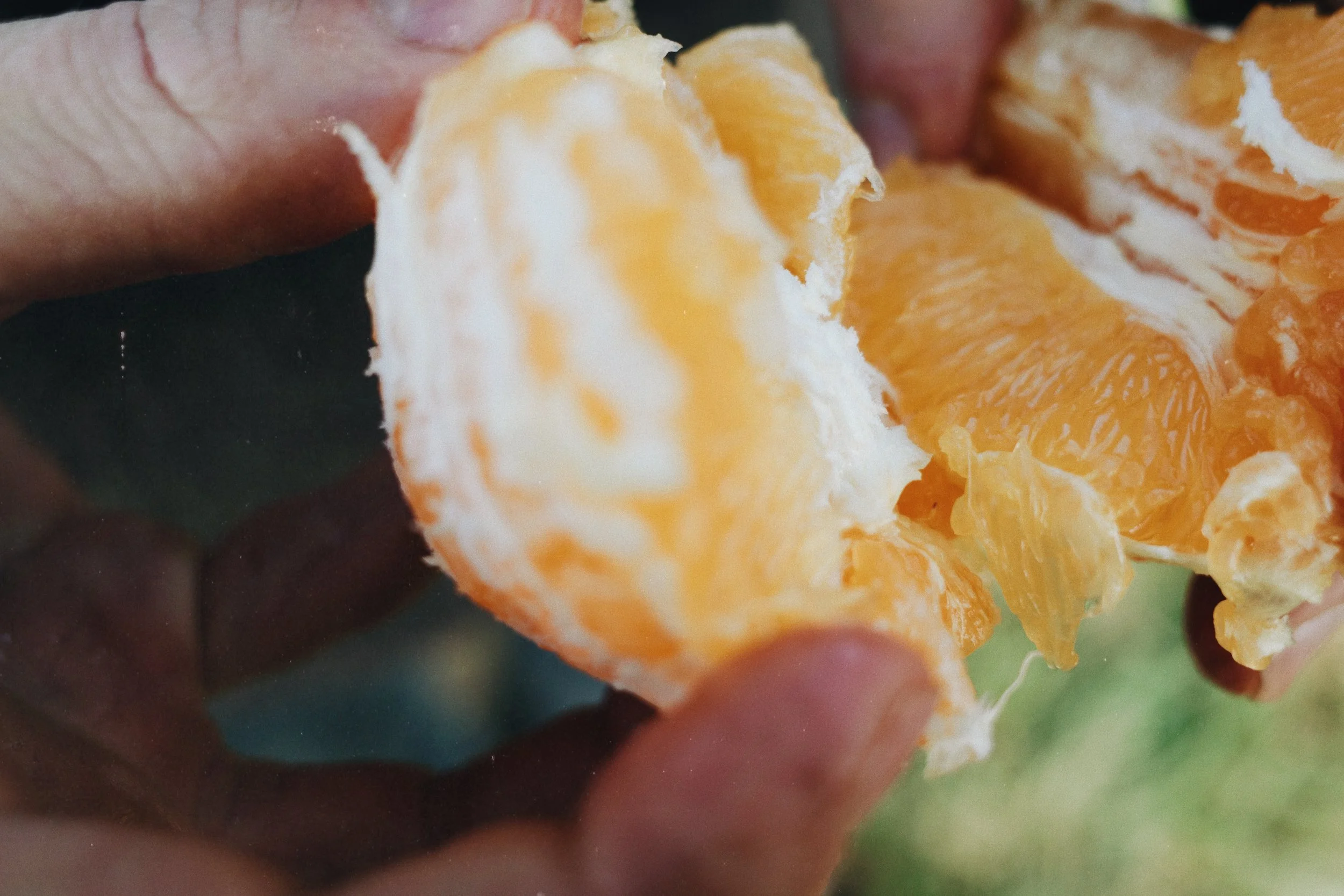 0205927E-23A7-4A08-9894-1B2A1E4E27A8 2.JPG