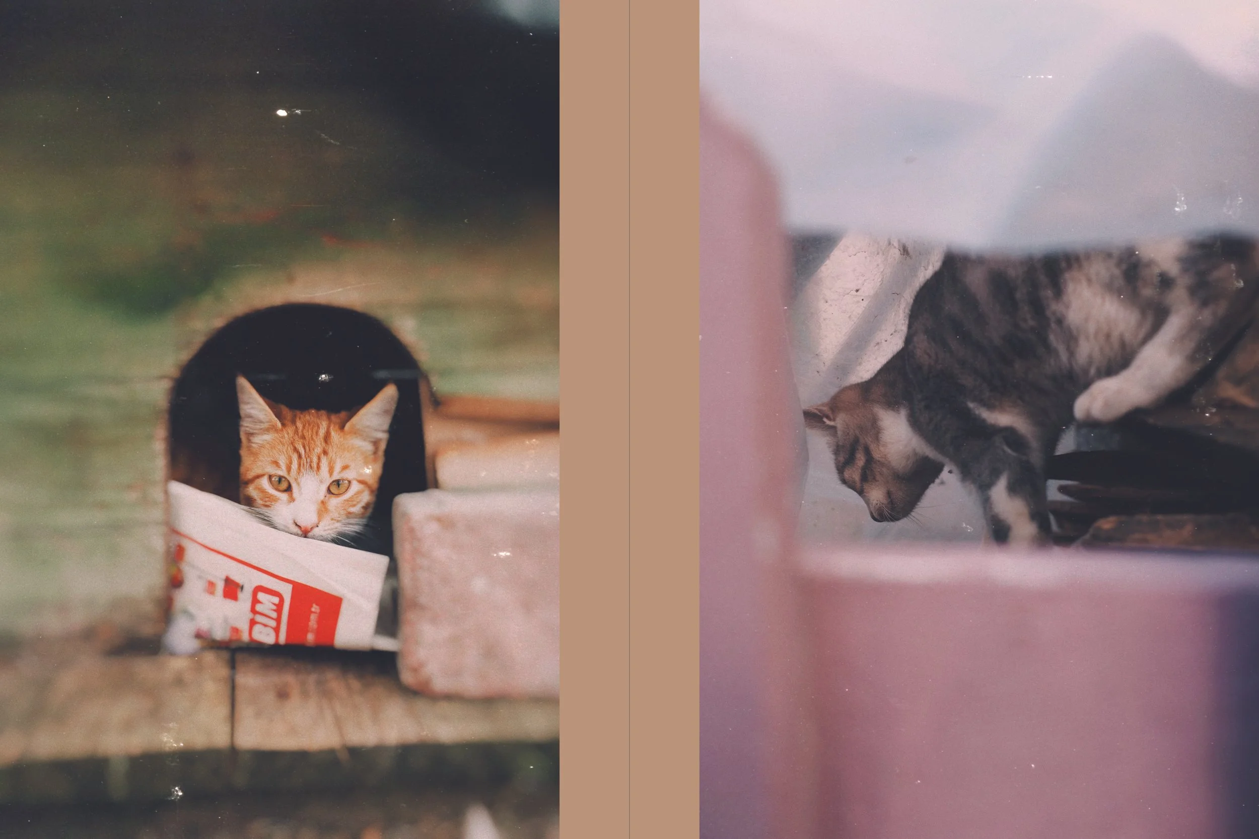 travel edits photos_8.jpg