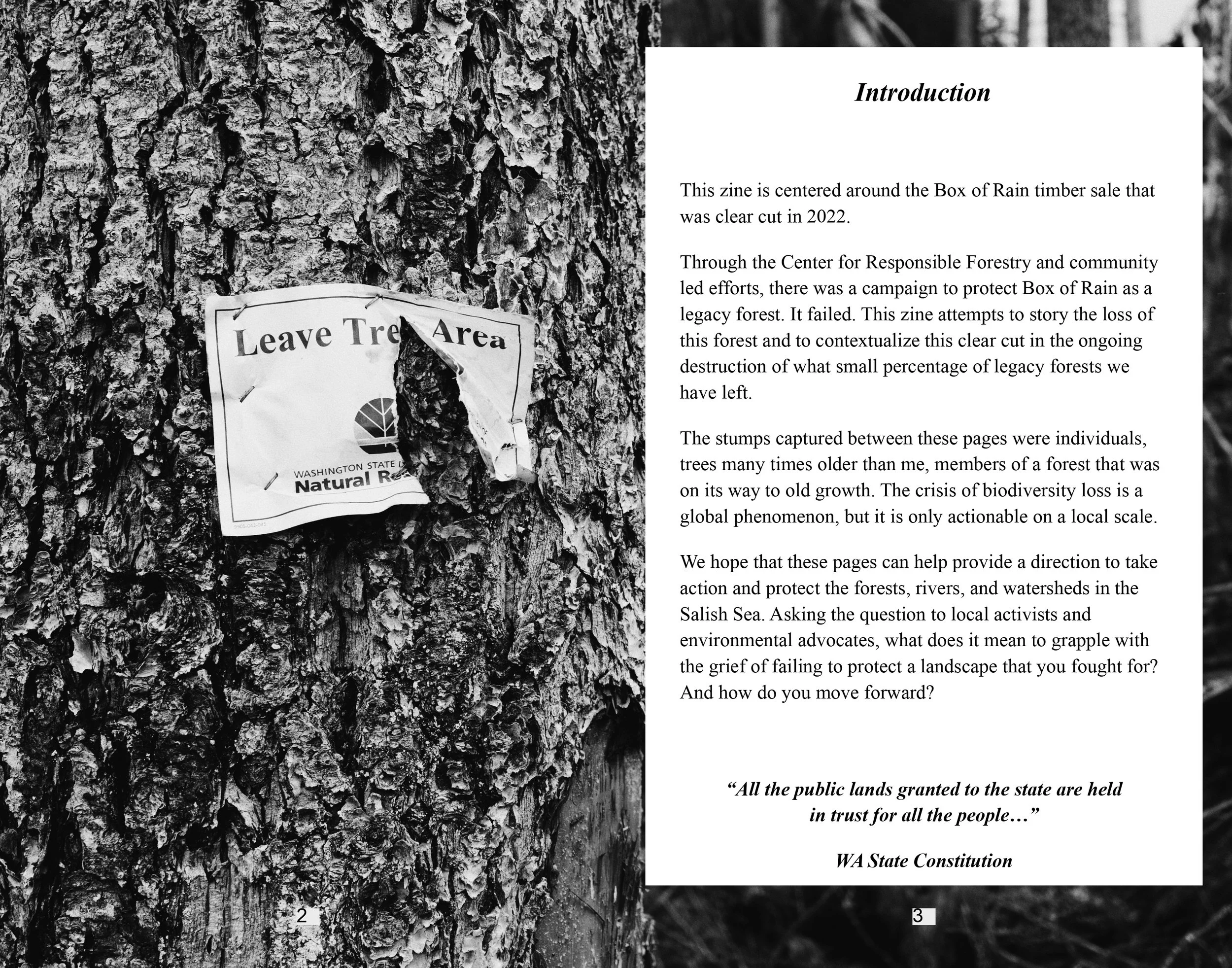 portraits in sawdust final_page-0002.jpg