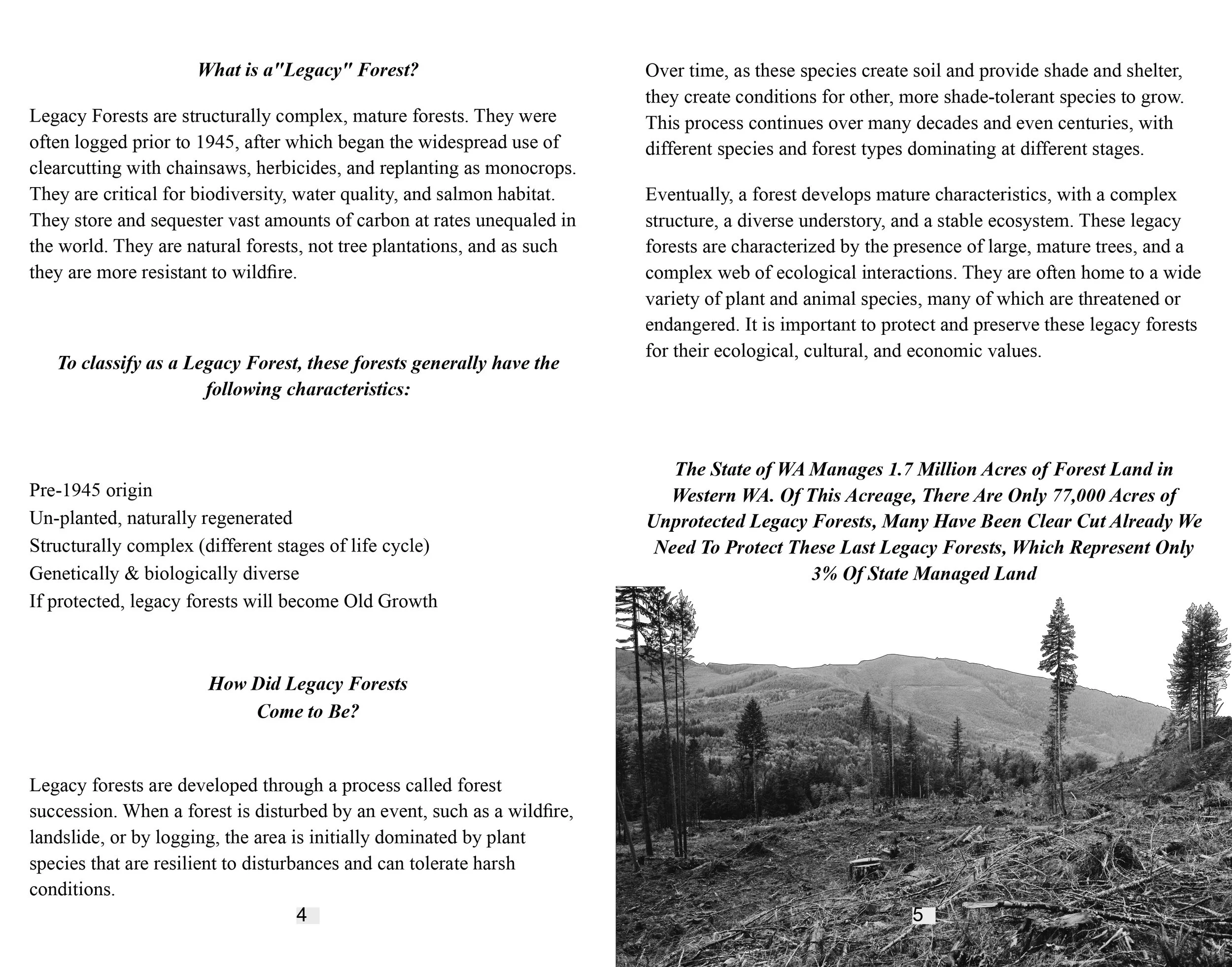 portraits in sawdust final_page-0003.jpg