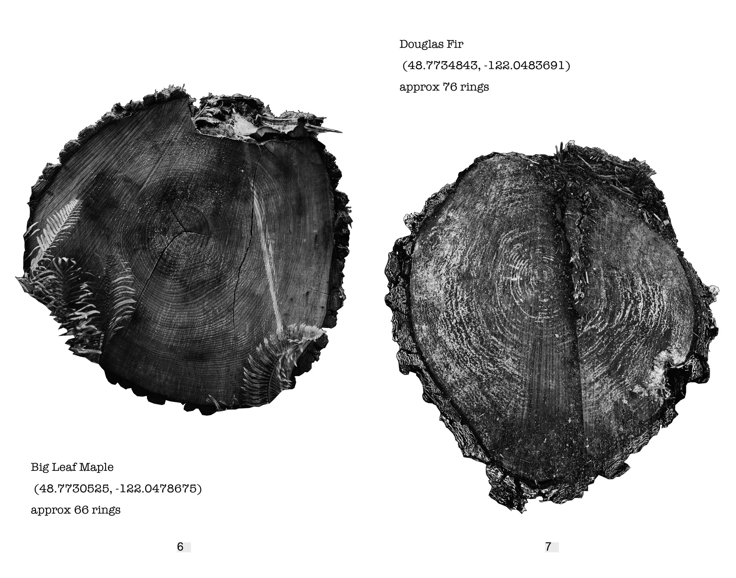 portraits in sawdust final_page-0004.jpg