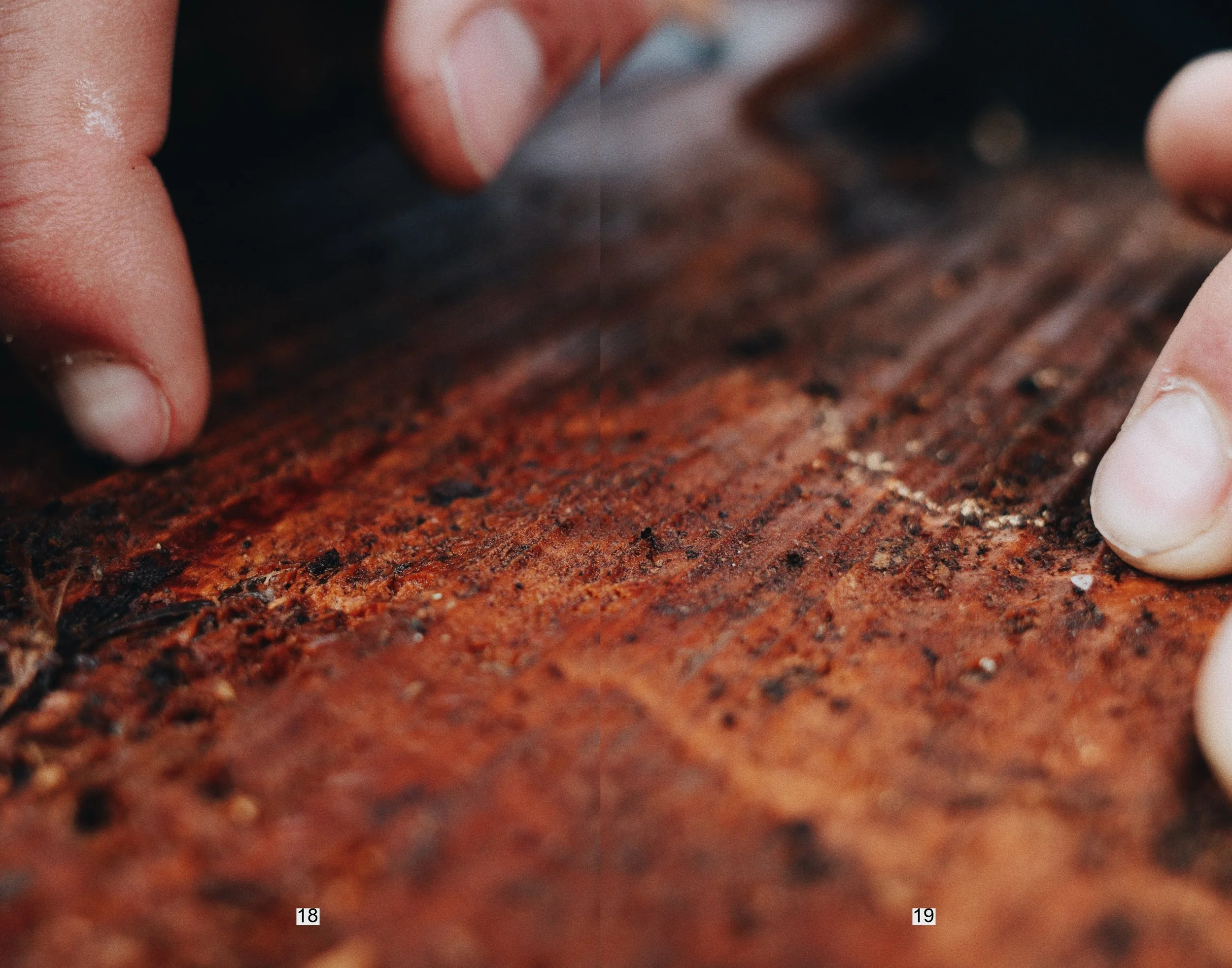 portraits in sawdust final_page-0010.jpg
