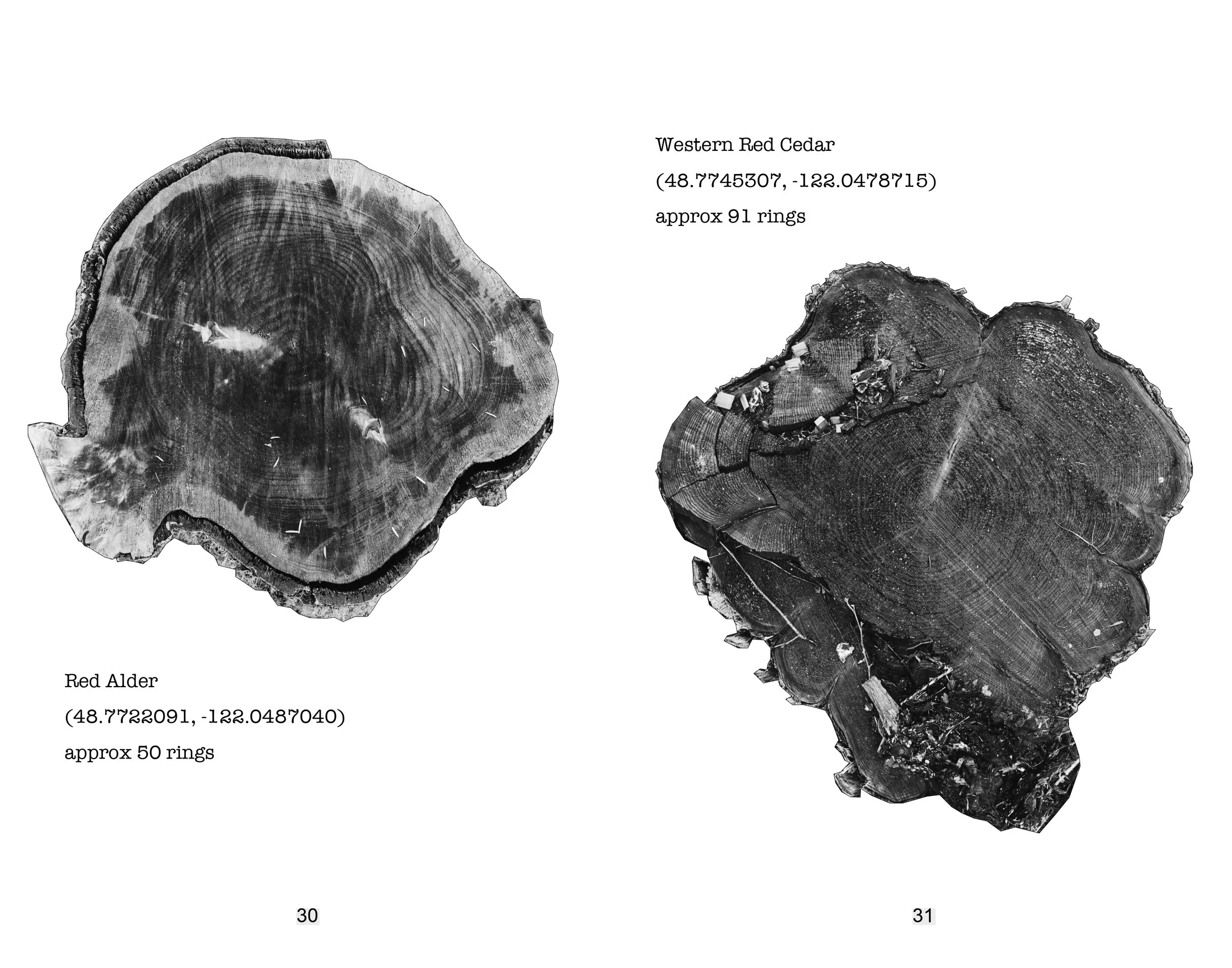 portraits in sawdust final_page-0016.jpg