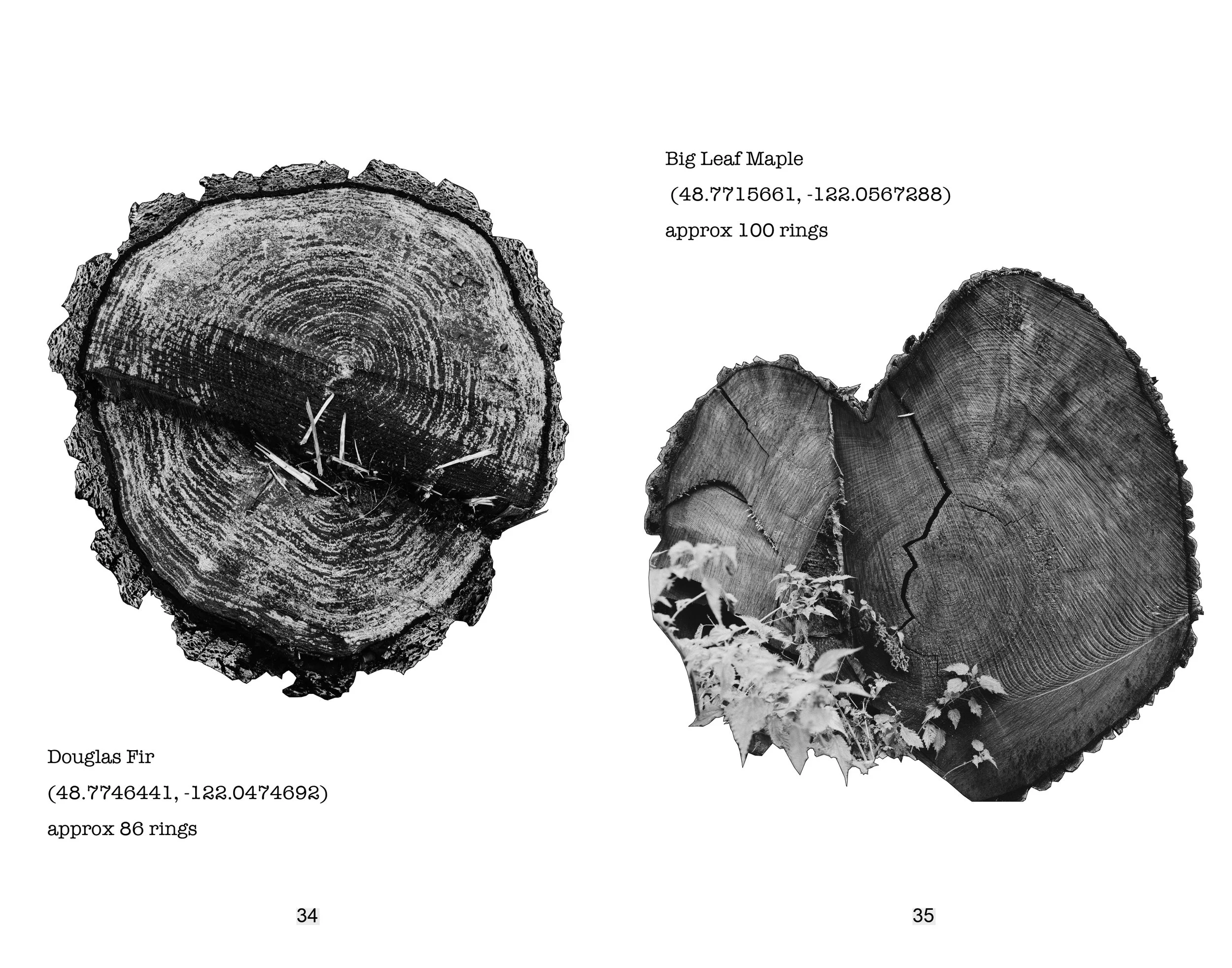 portraits in sawdust final_page-0018.jpg