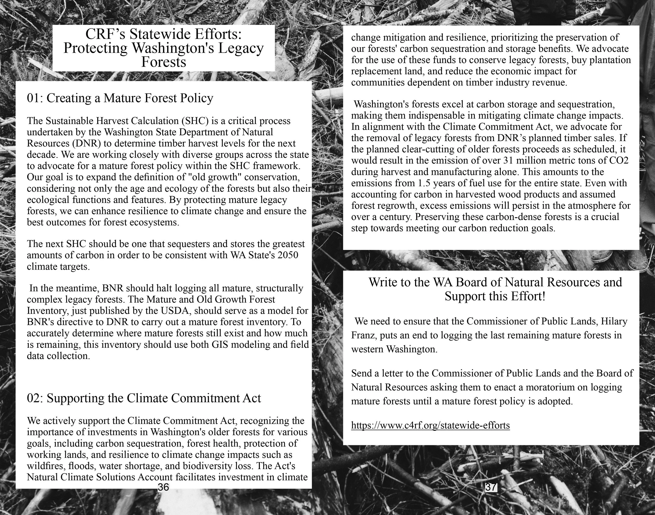 portraits in sawdust final_page-0019.jpg