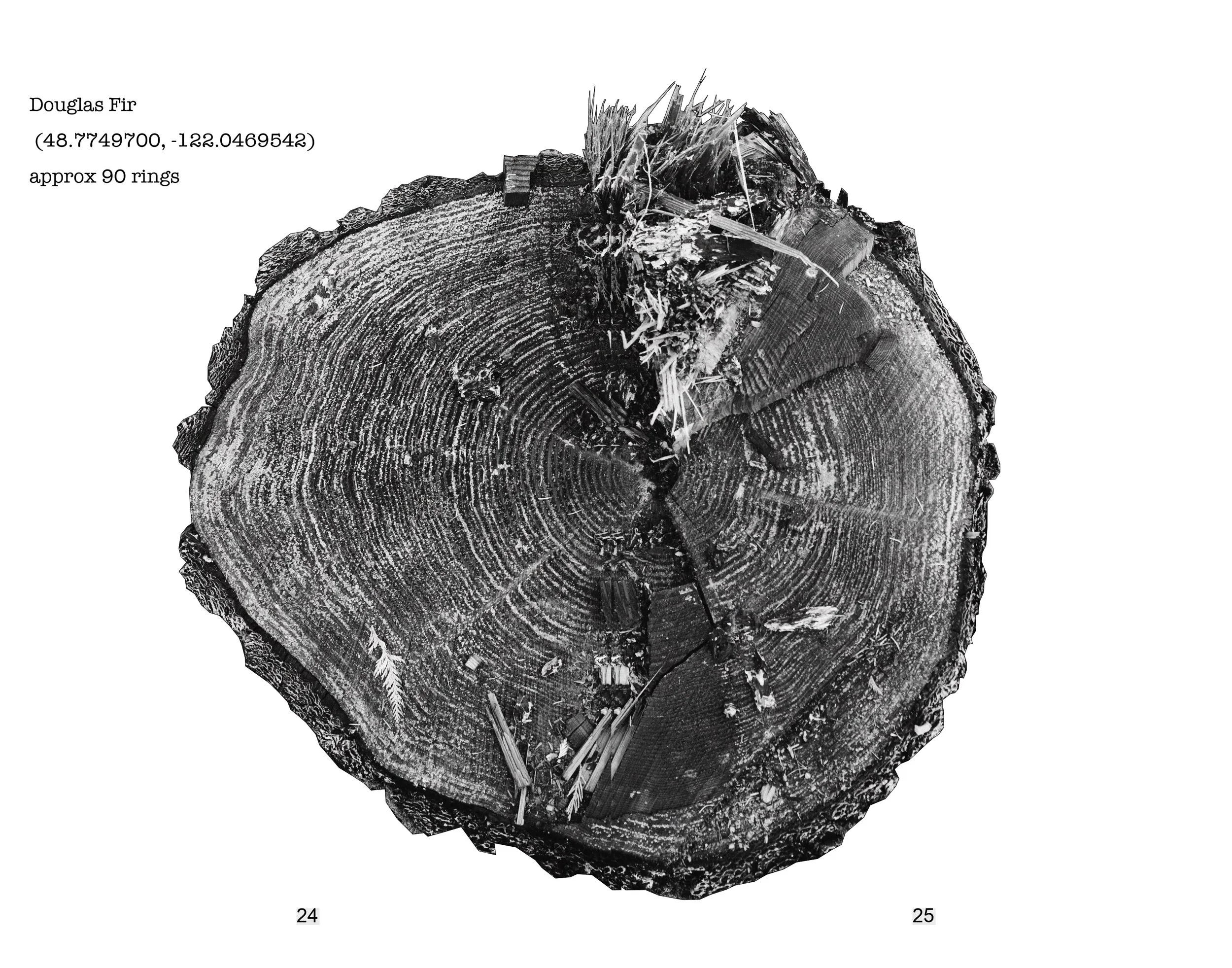 portraits in sawdust final_page-0013.jpg