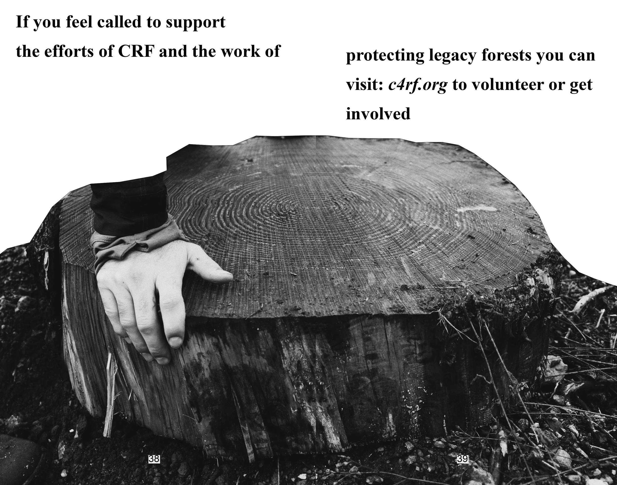 portraits in sawdust final_page-0020.jpg