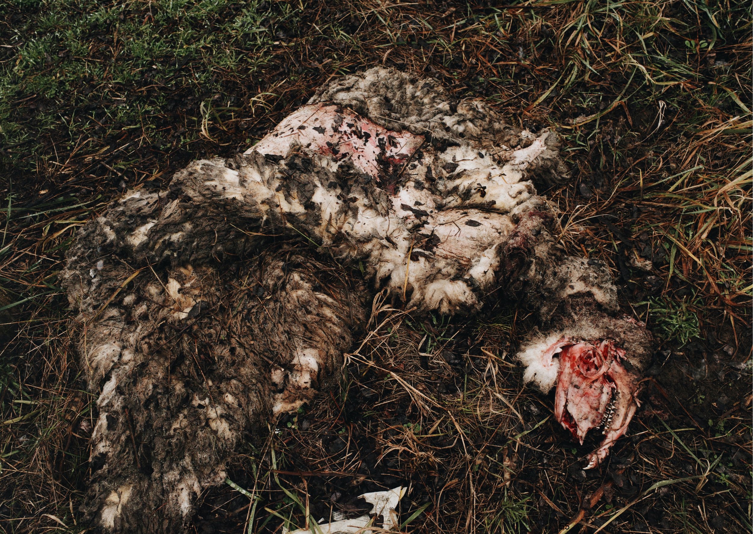 Subotica Zine 2:2_page-0012.jpg