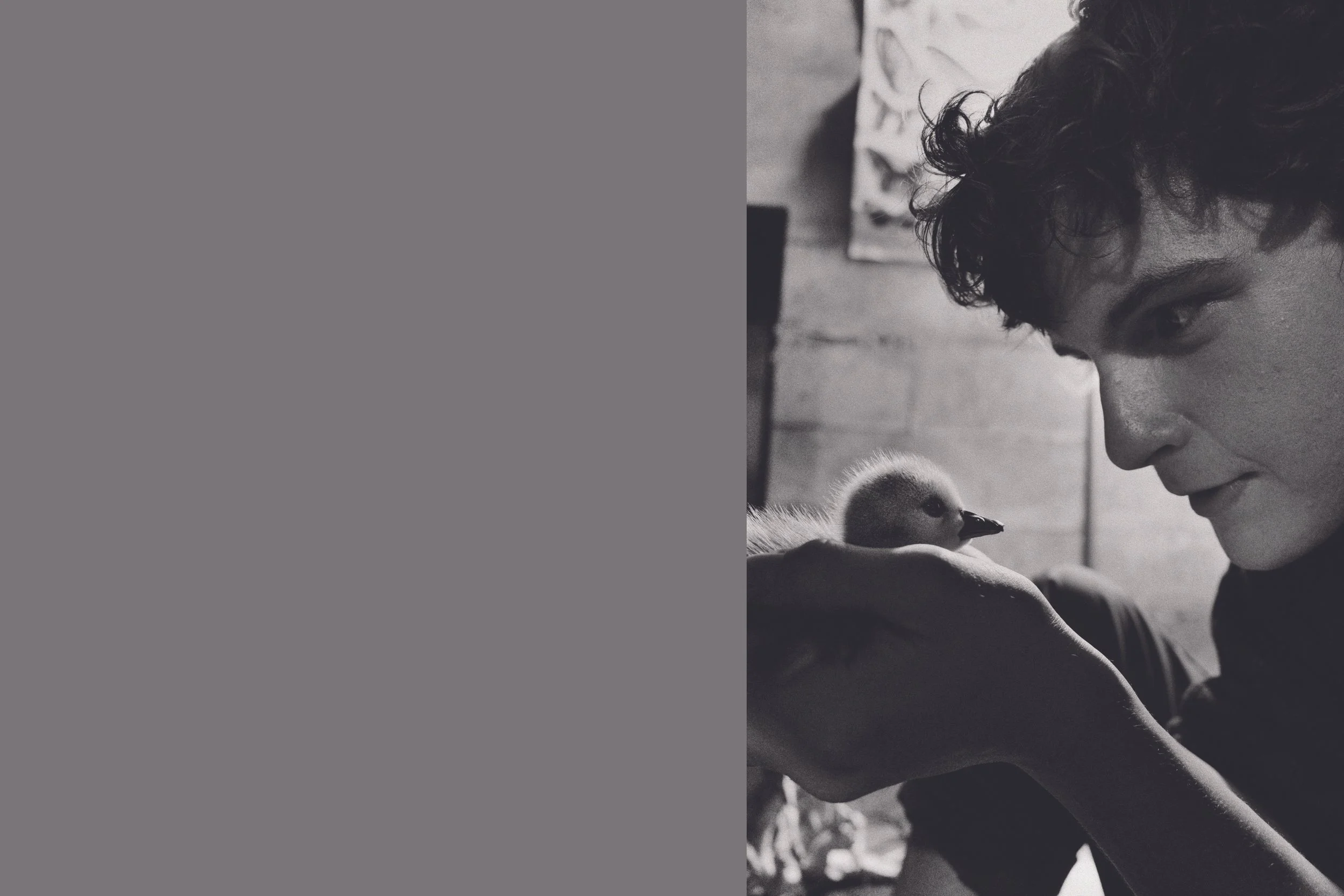 orion verticals : polaroid_5.jpg