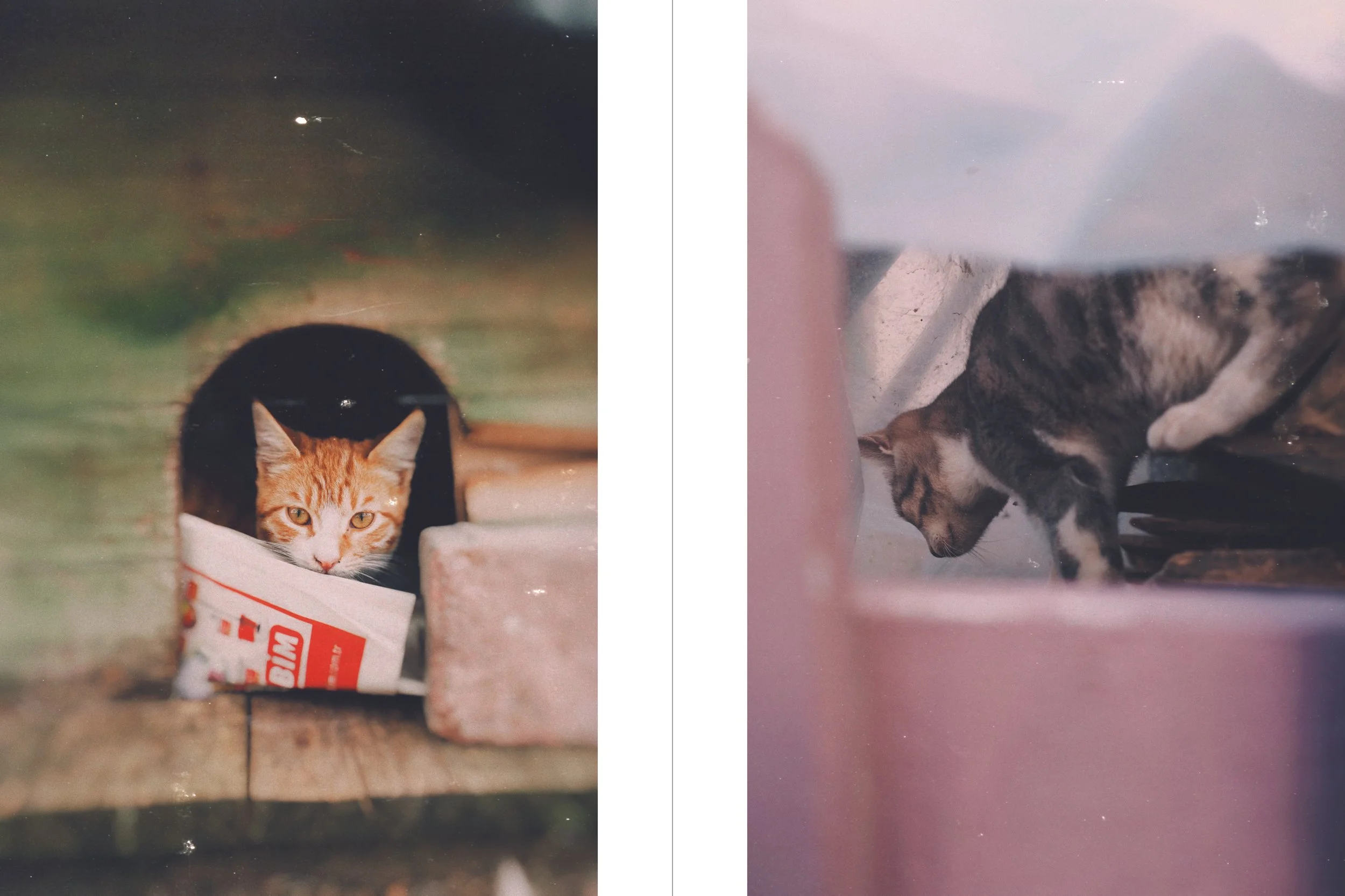 travel edits white_8.jpg