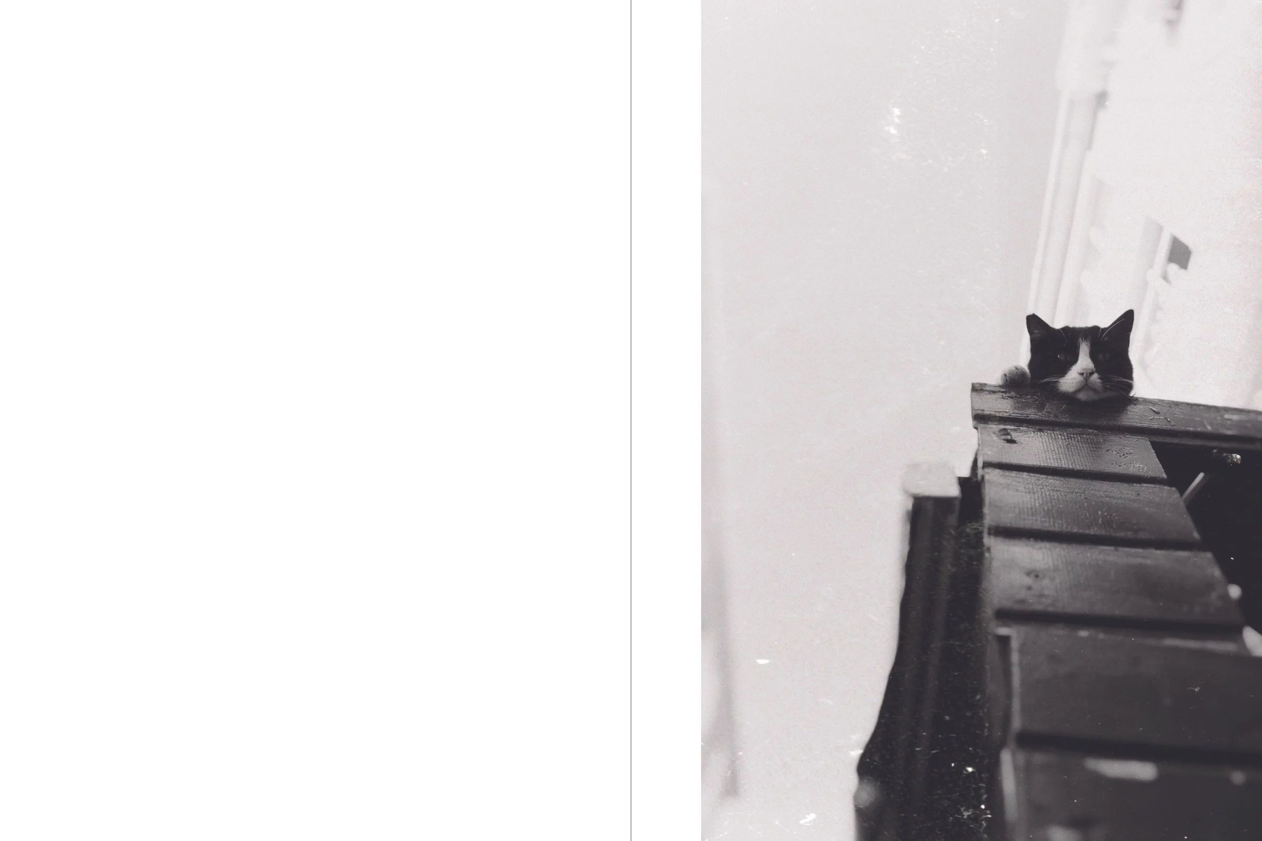 travel edits white_32.jpg