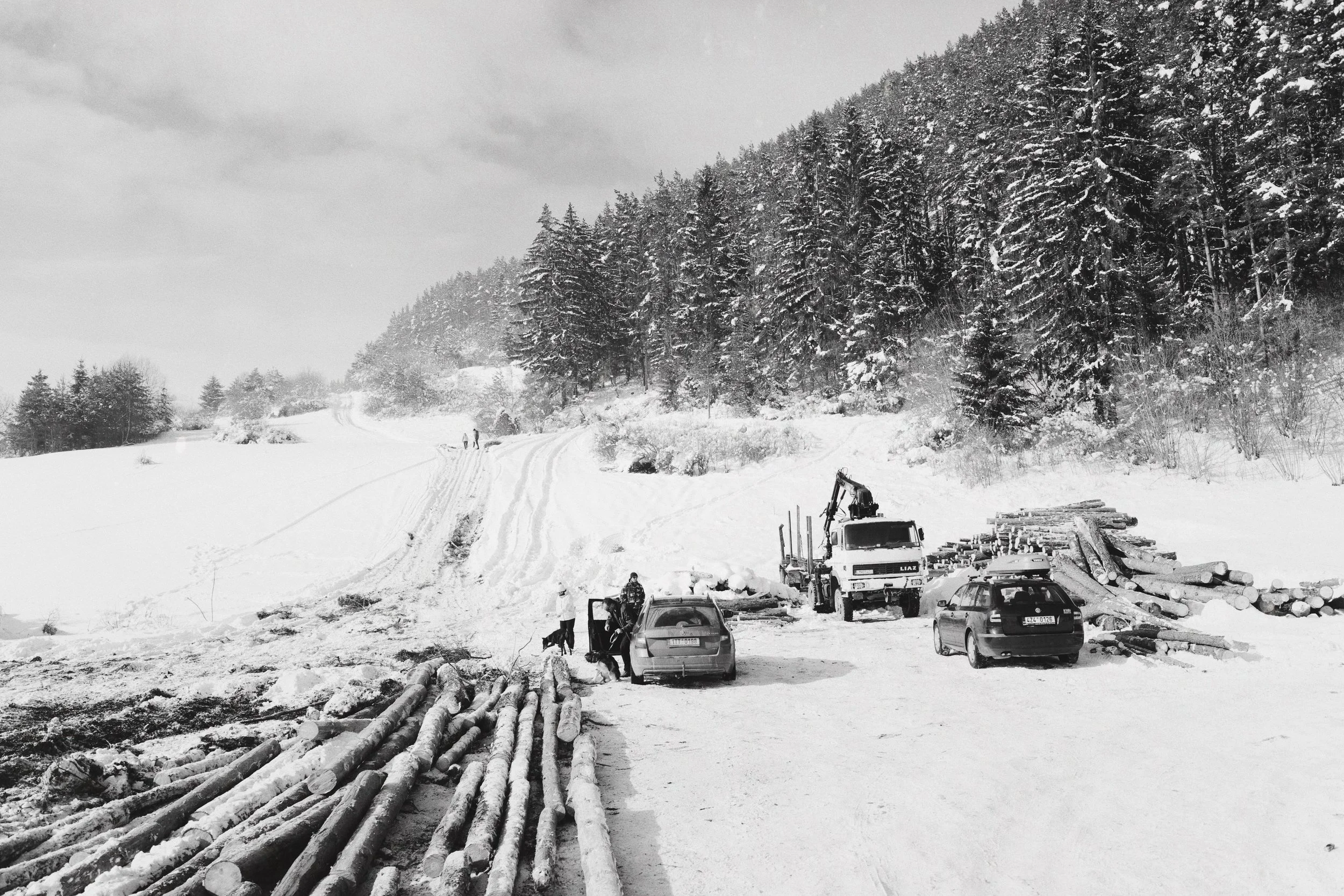 D72E70D2-5FC6-40DC-81E2-0DC66DFB0DCE 2.JPG