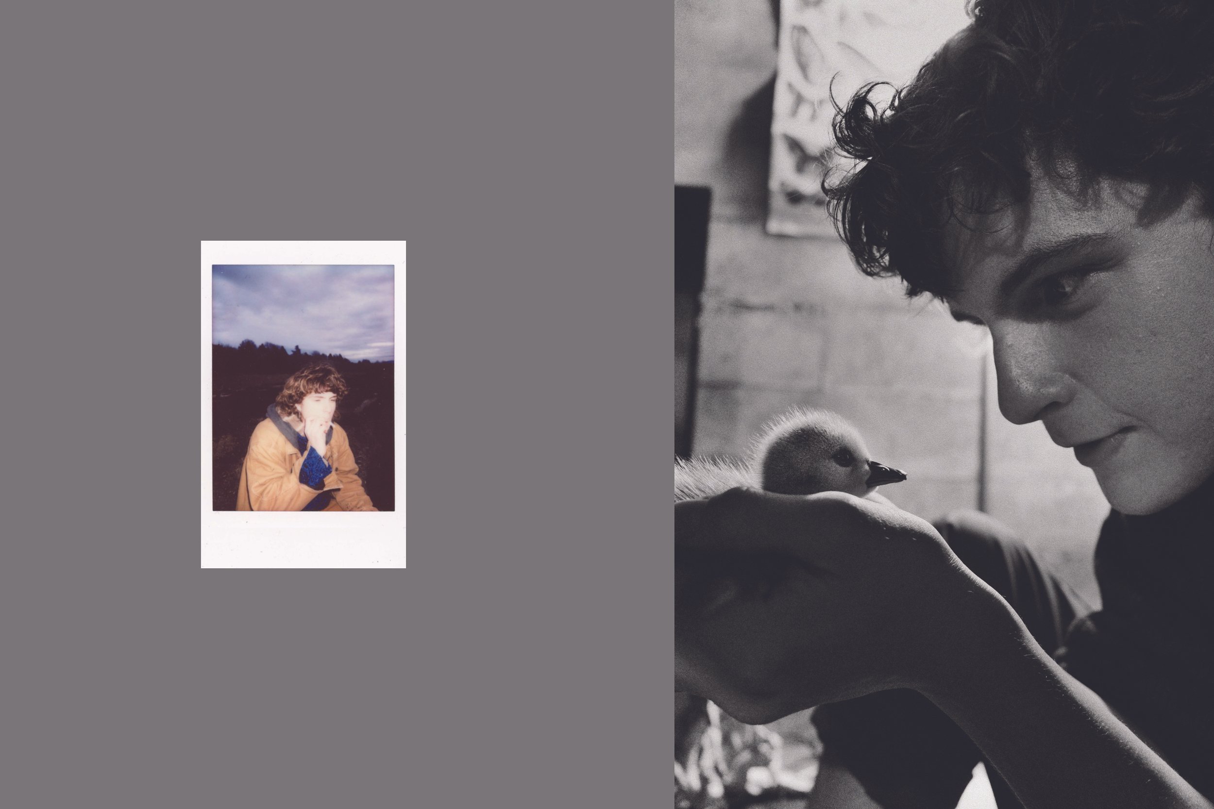 orion verticals : polaroid_4.jpg