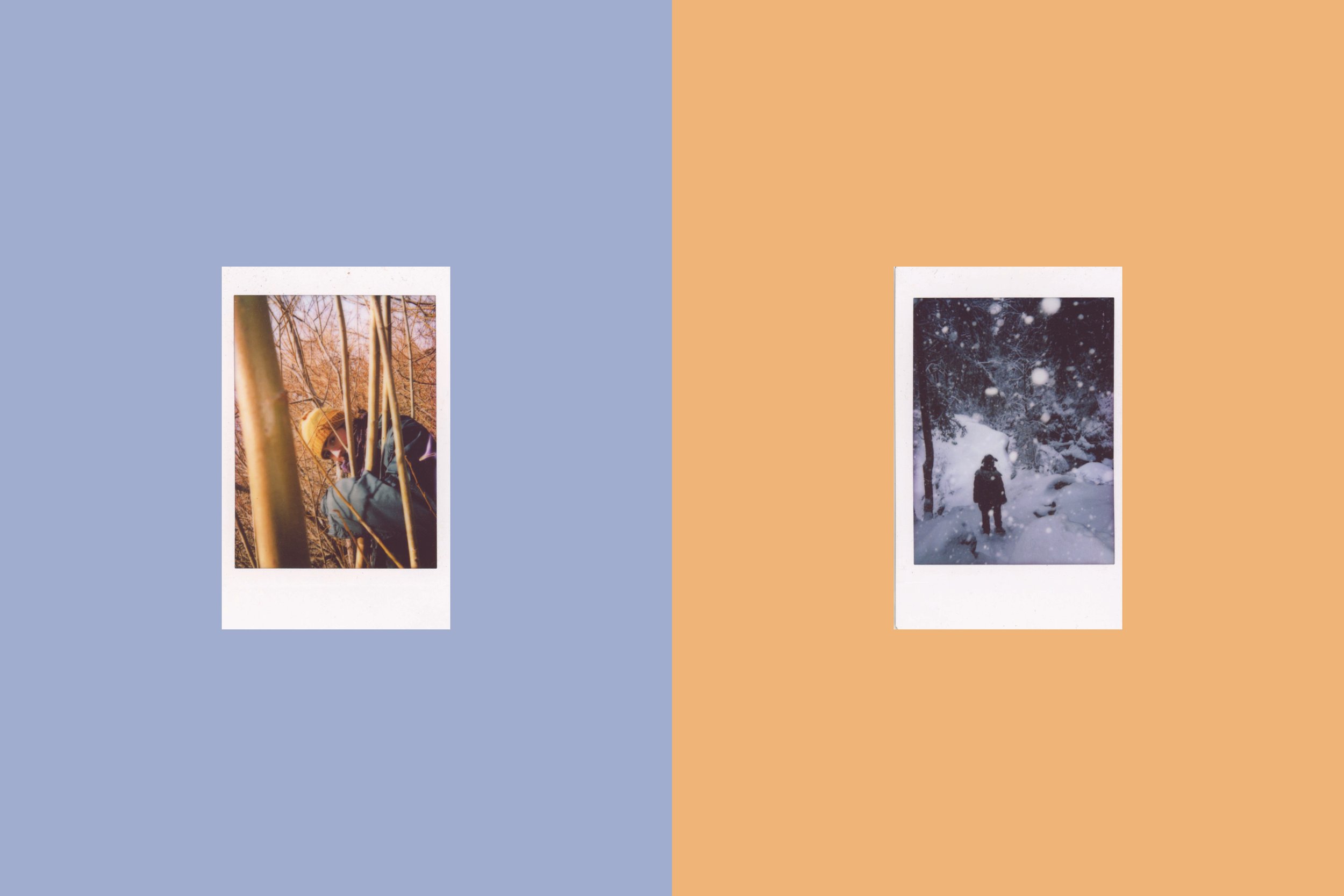 vertical pairings_20.jpg