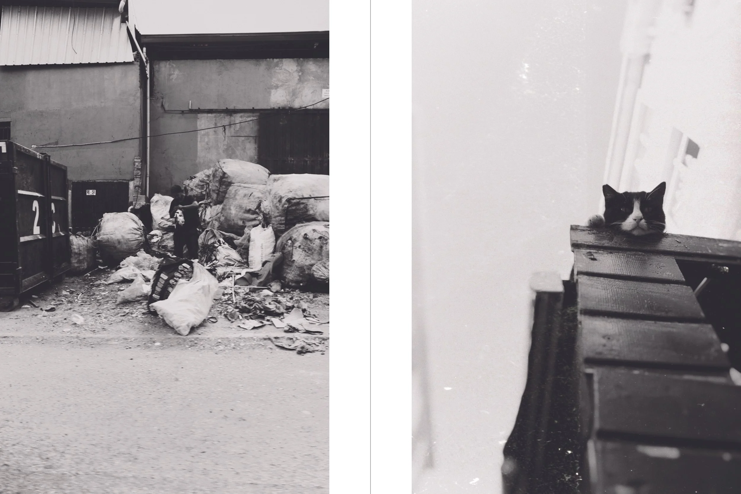 travel edits white_31.jpg