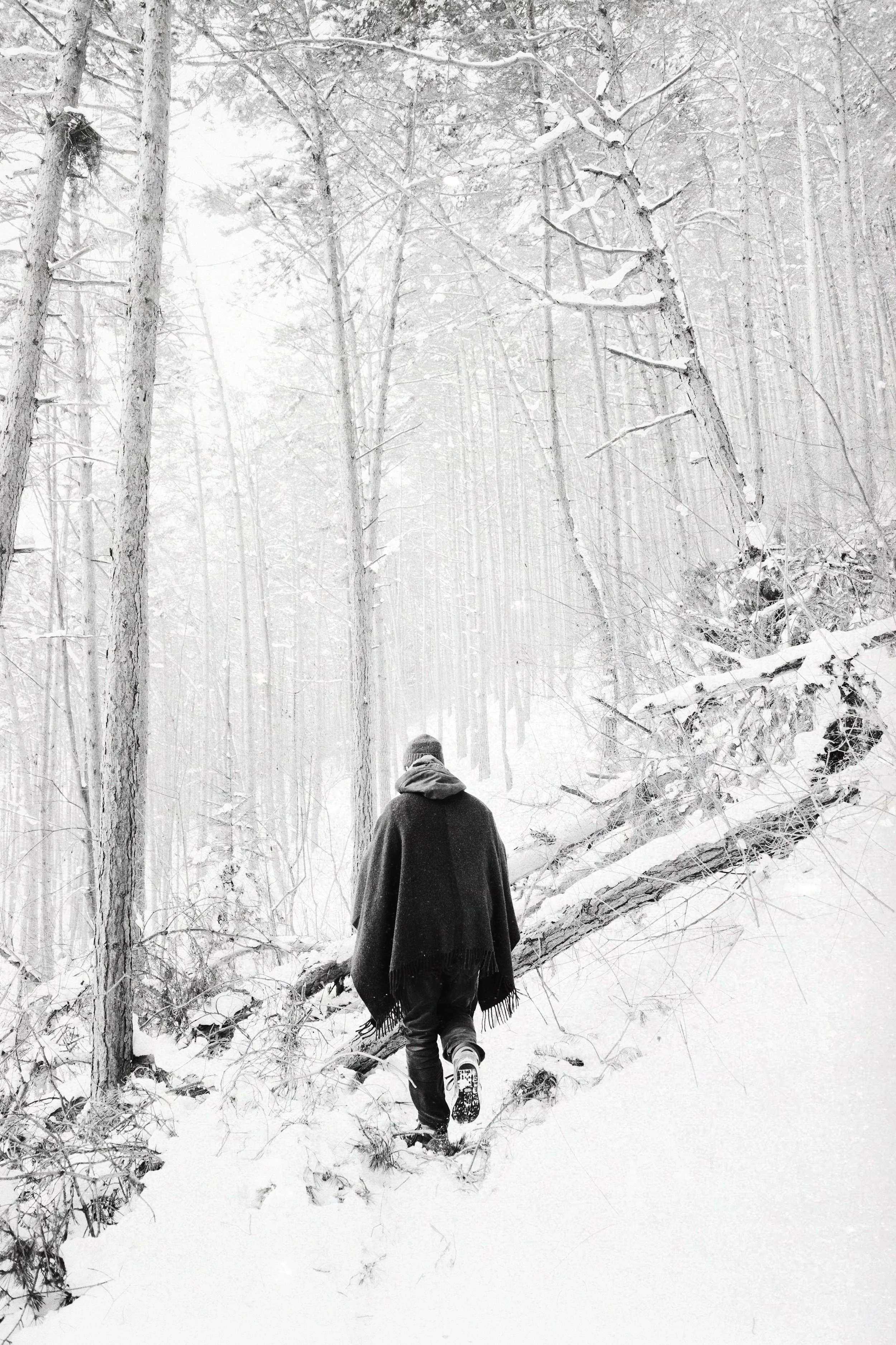 AE55729F-3C12-4001-908A-62FAB44B51E2 2.JPG