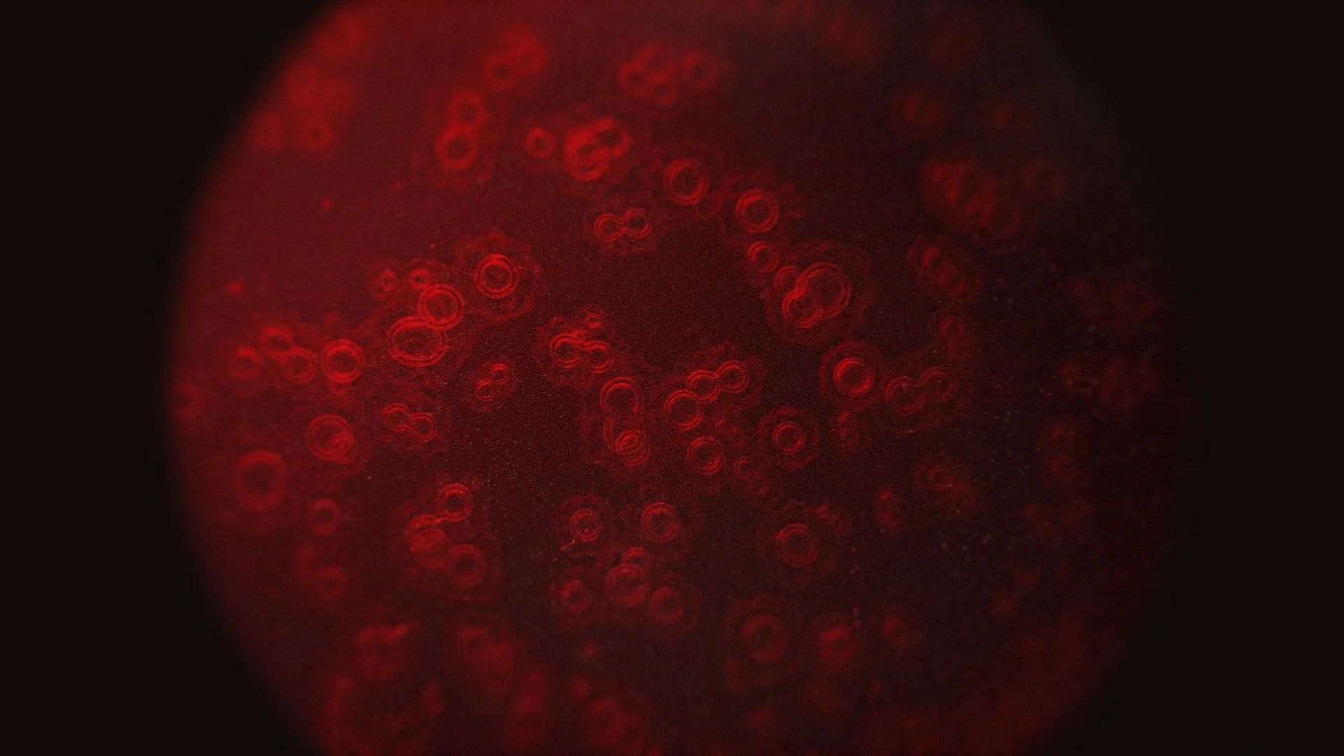 AAHS1102_SHOT_01_002.jpg